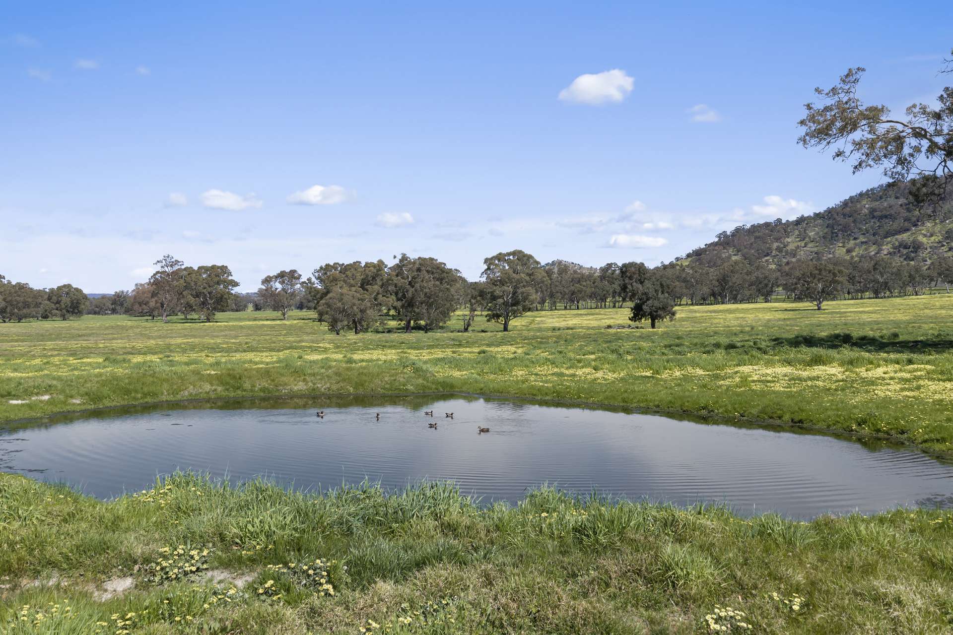 1036 Euroa-Mansfield Road, Gooram For Sale by Farmbuy.com - image 16