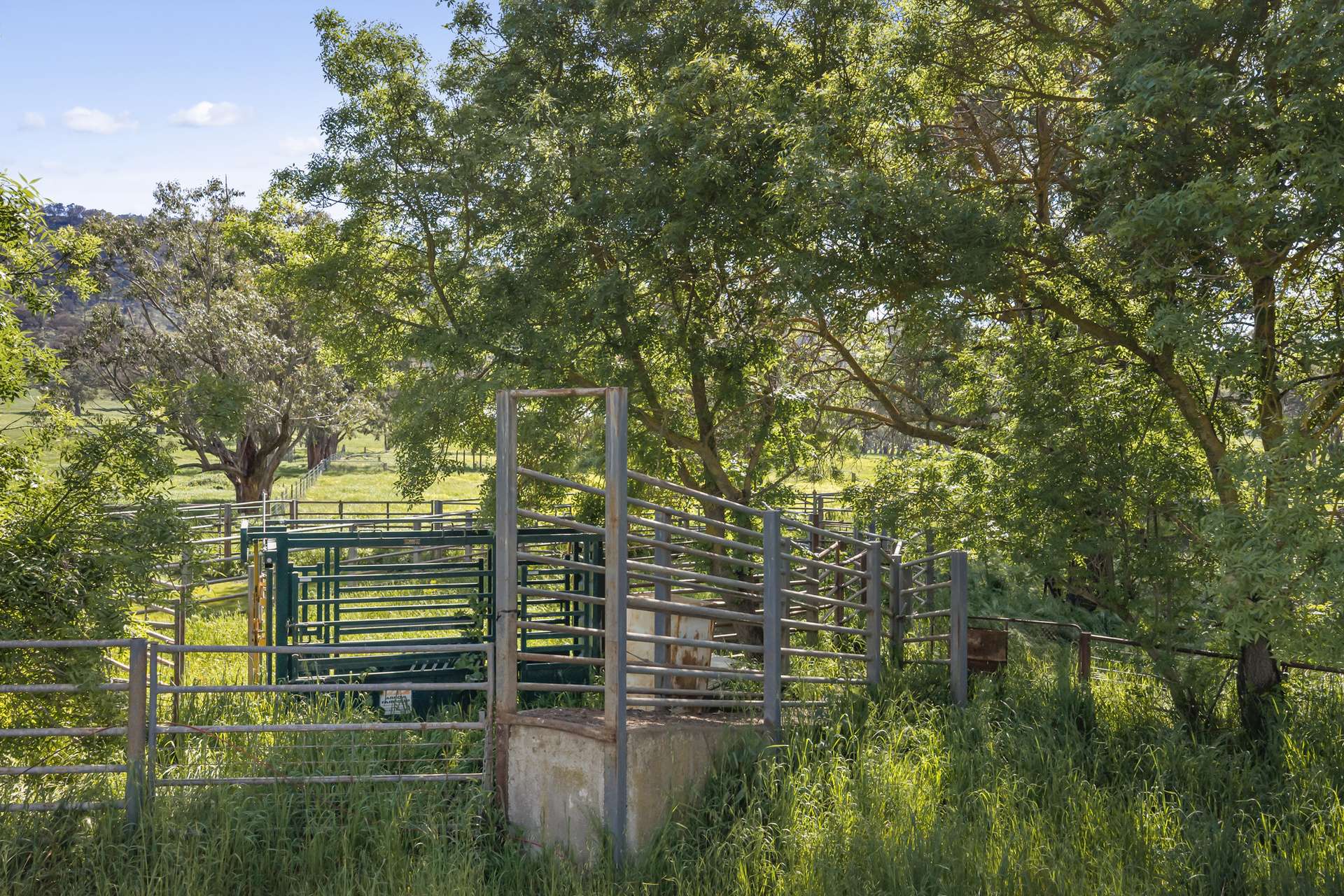 1036 Euroa-Mansfield Road, Gooram For Sale by Farmbuy.com - image 7