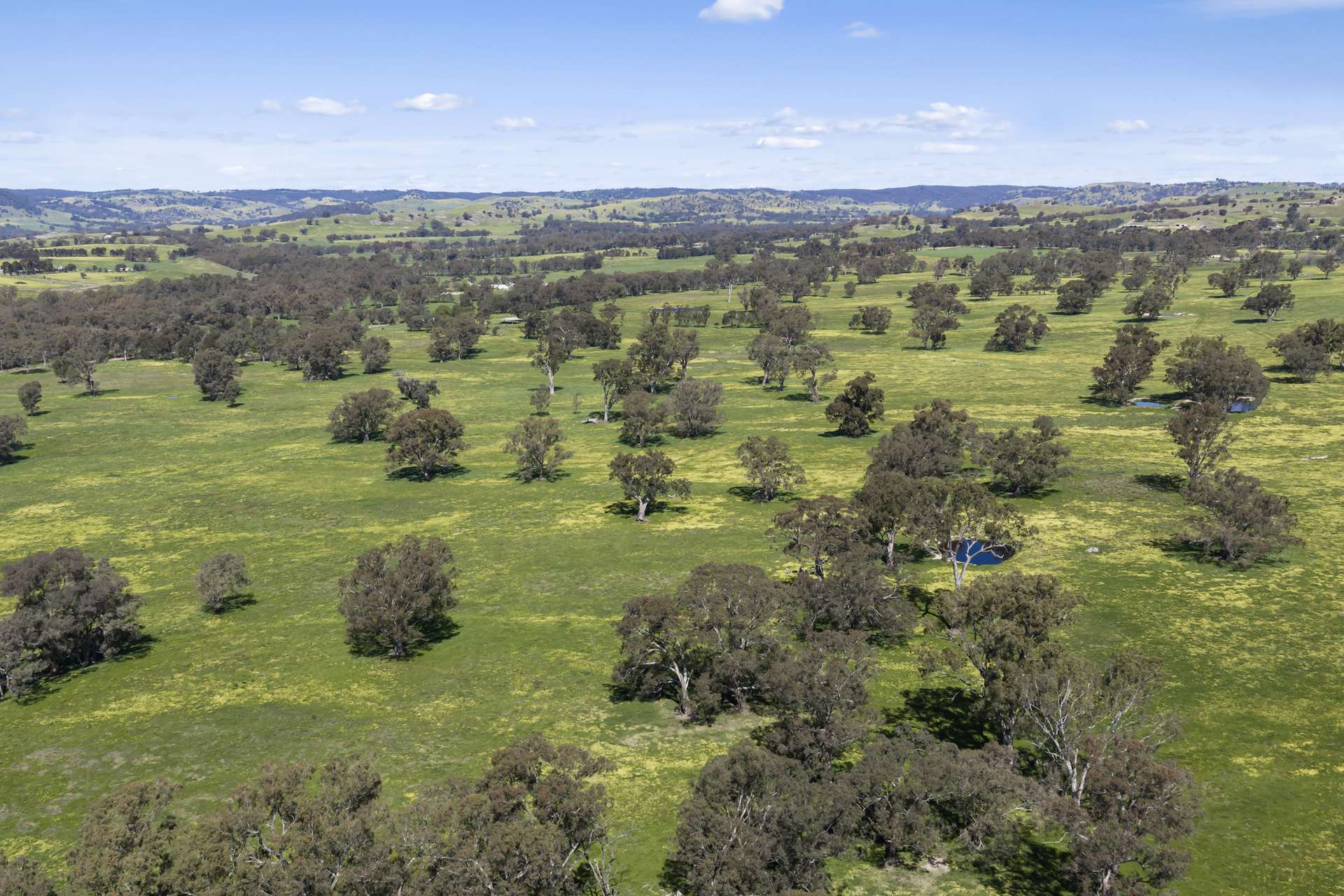 1036 Euroa-Mansfield Road, Gooram For Sale by Farmbuy.com - image 18