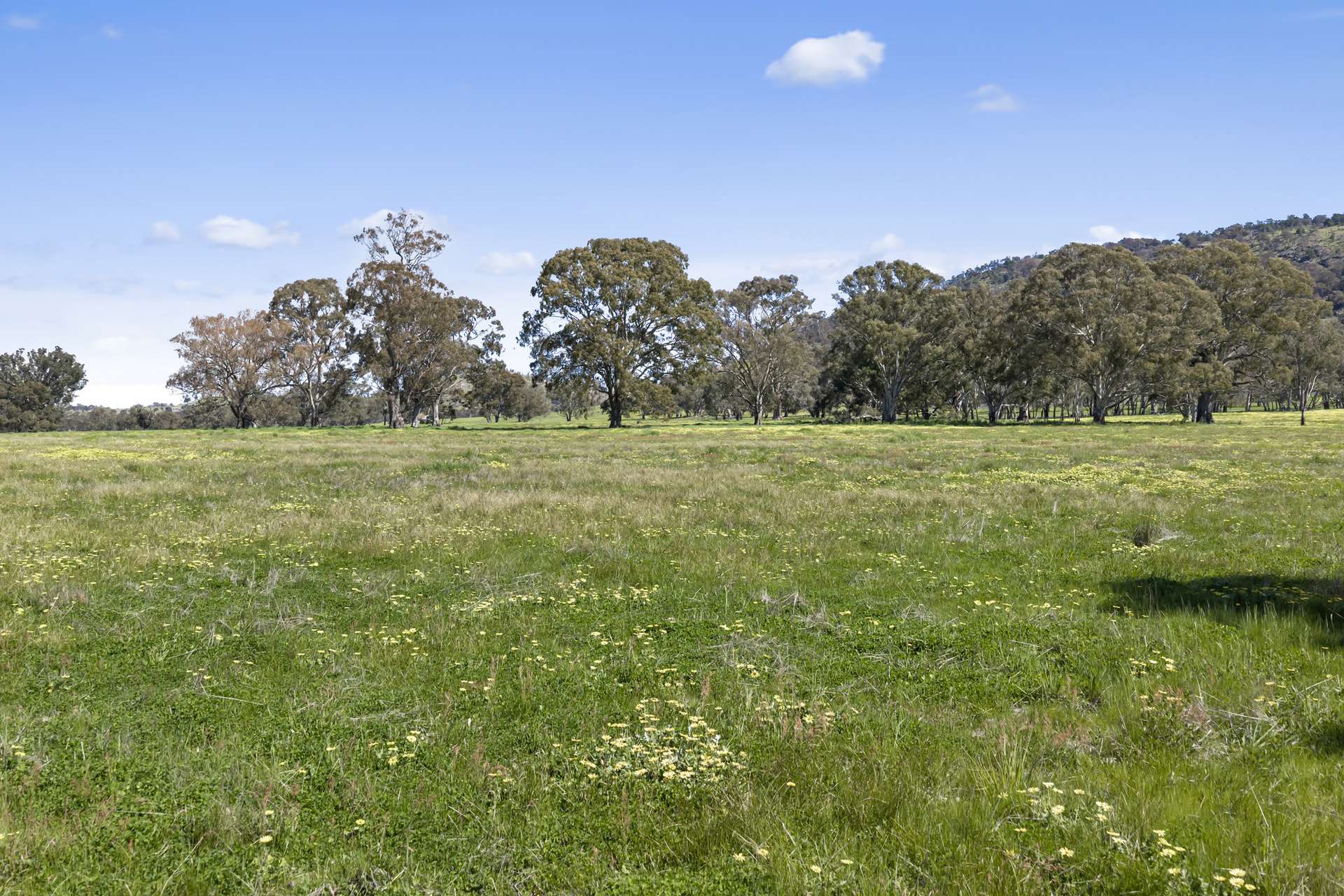 1036 Euroa-Mansfield Road, Gooram For Sale by Farmbuy.com - image 4