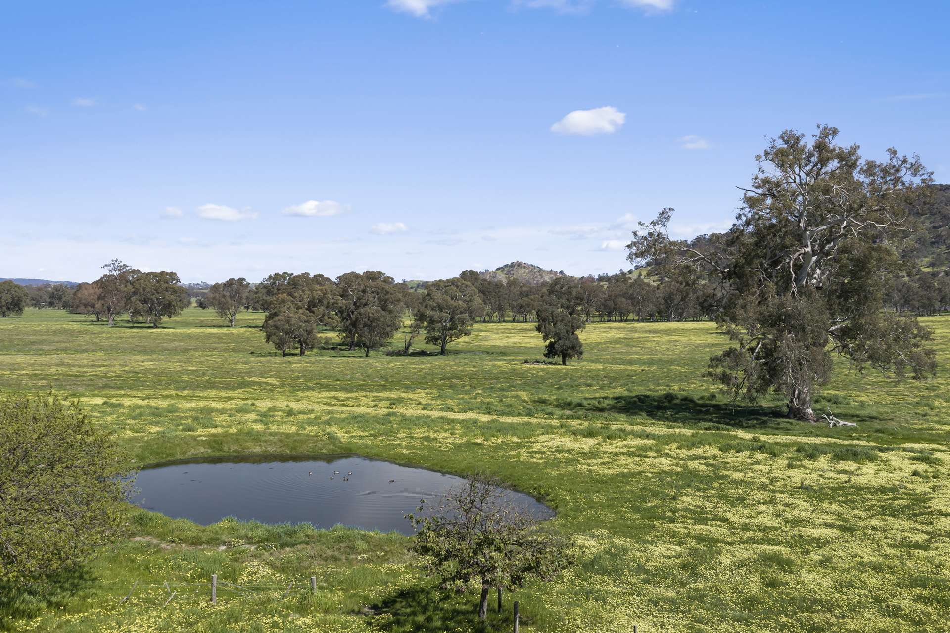 1036 Euroa-Mansfield Road, Gooram For Sale by Farmbuy.com - image 14