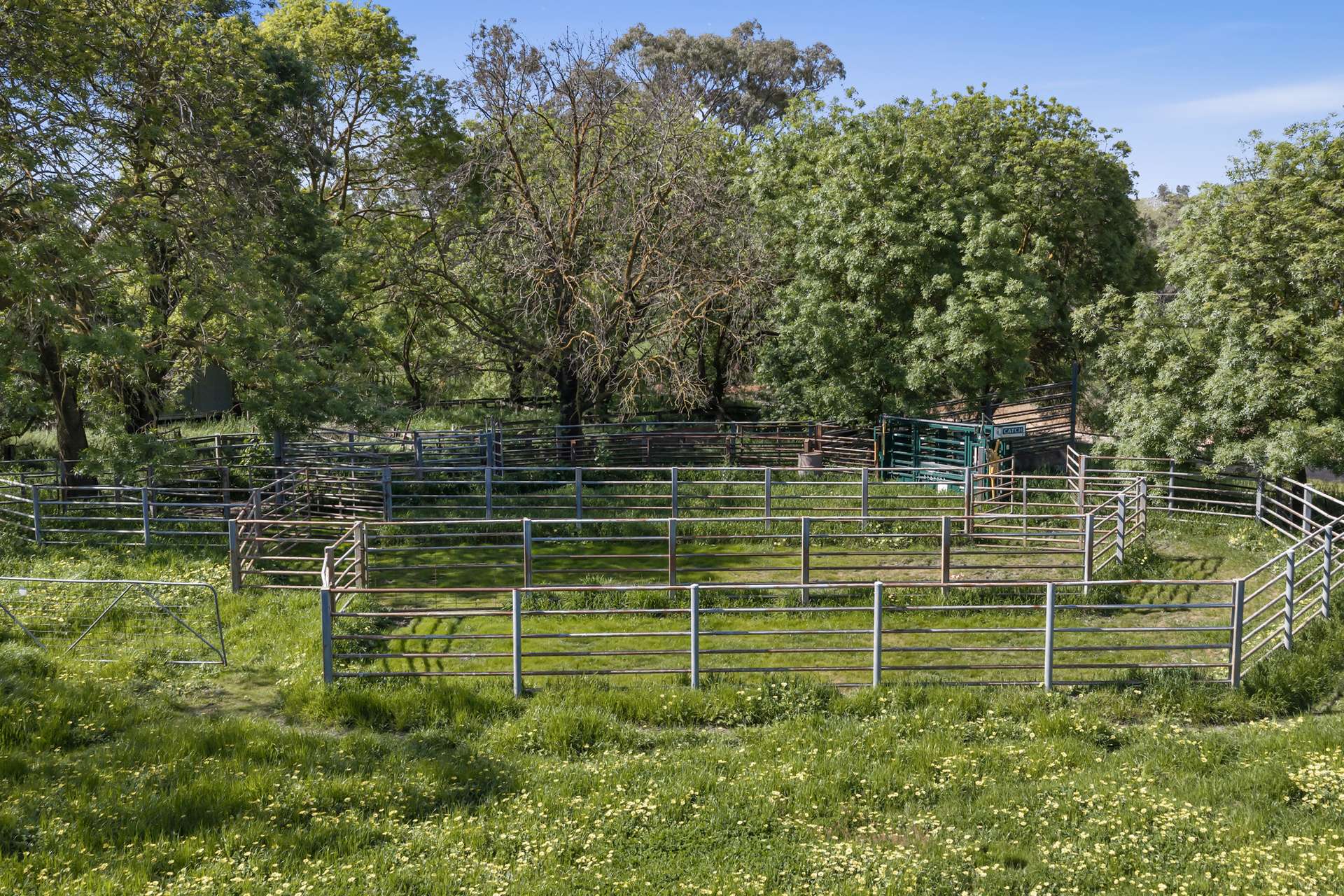 1036 Euroa-Mansfield Road, Gooram For Sale by Farmbuy.com - image 10