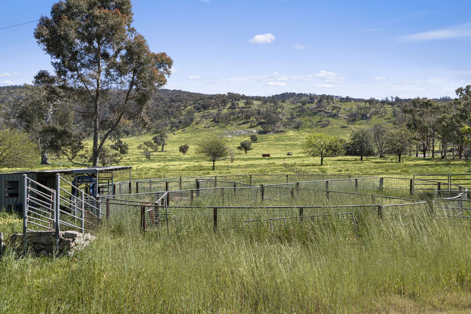1036 Euroa-Mansfield Road, Gooram For Sale by Farmbuy.com - image 20