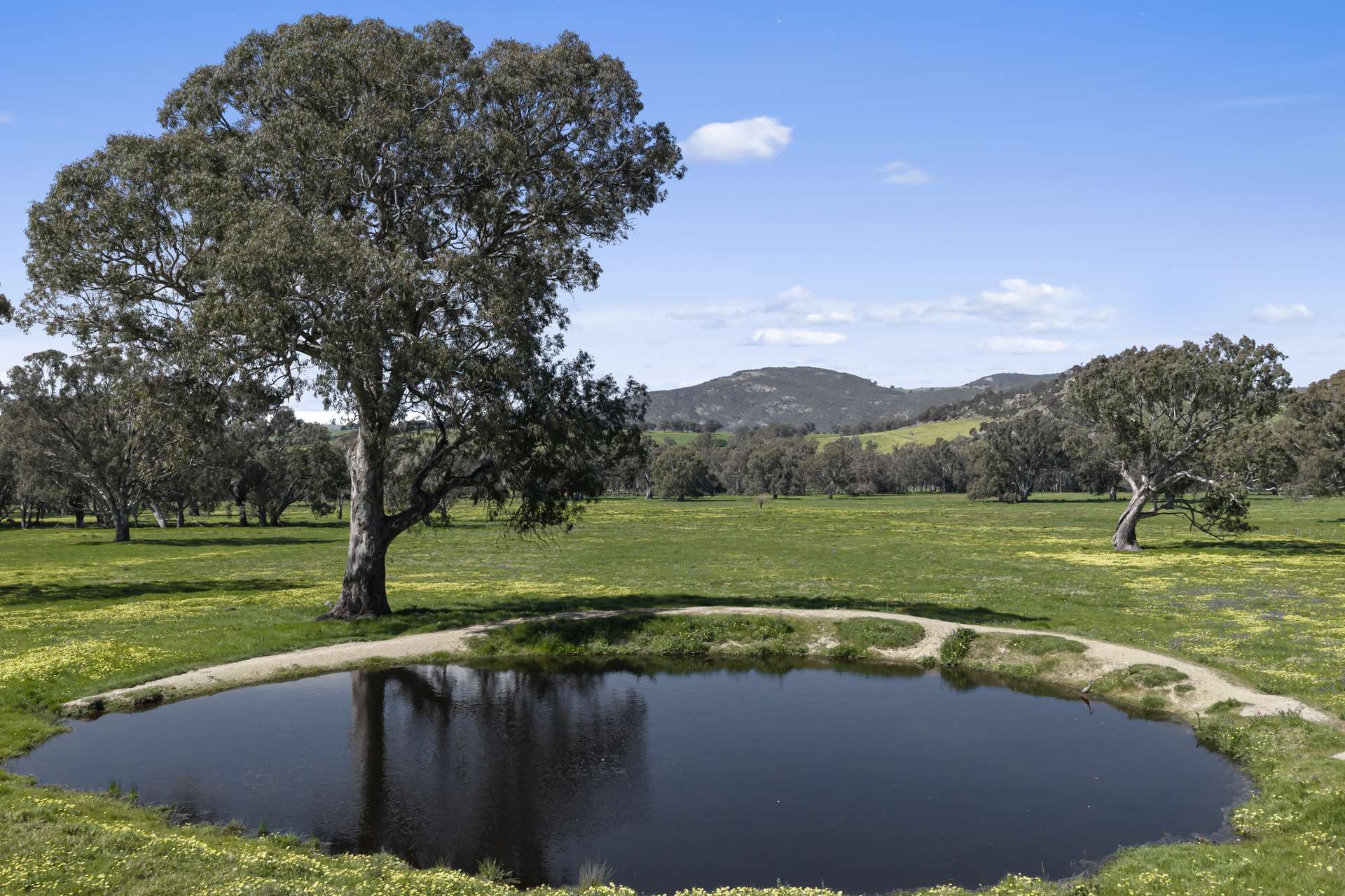 1036 Euroa-Mansfield Road, Gooram For Sale by Farmbuy.com - image 5