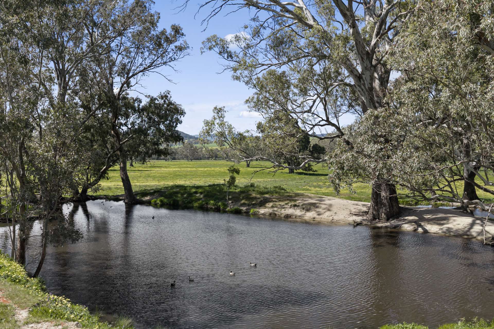 1036 Euroa-Mansfield Road, Gooram For Sale by Farmbuy.com - image 17