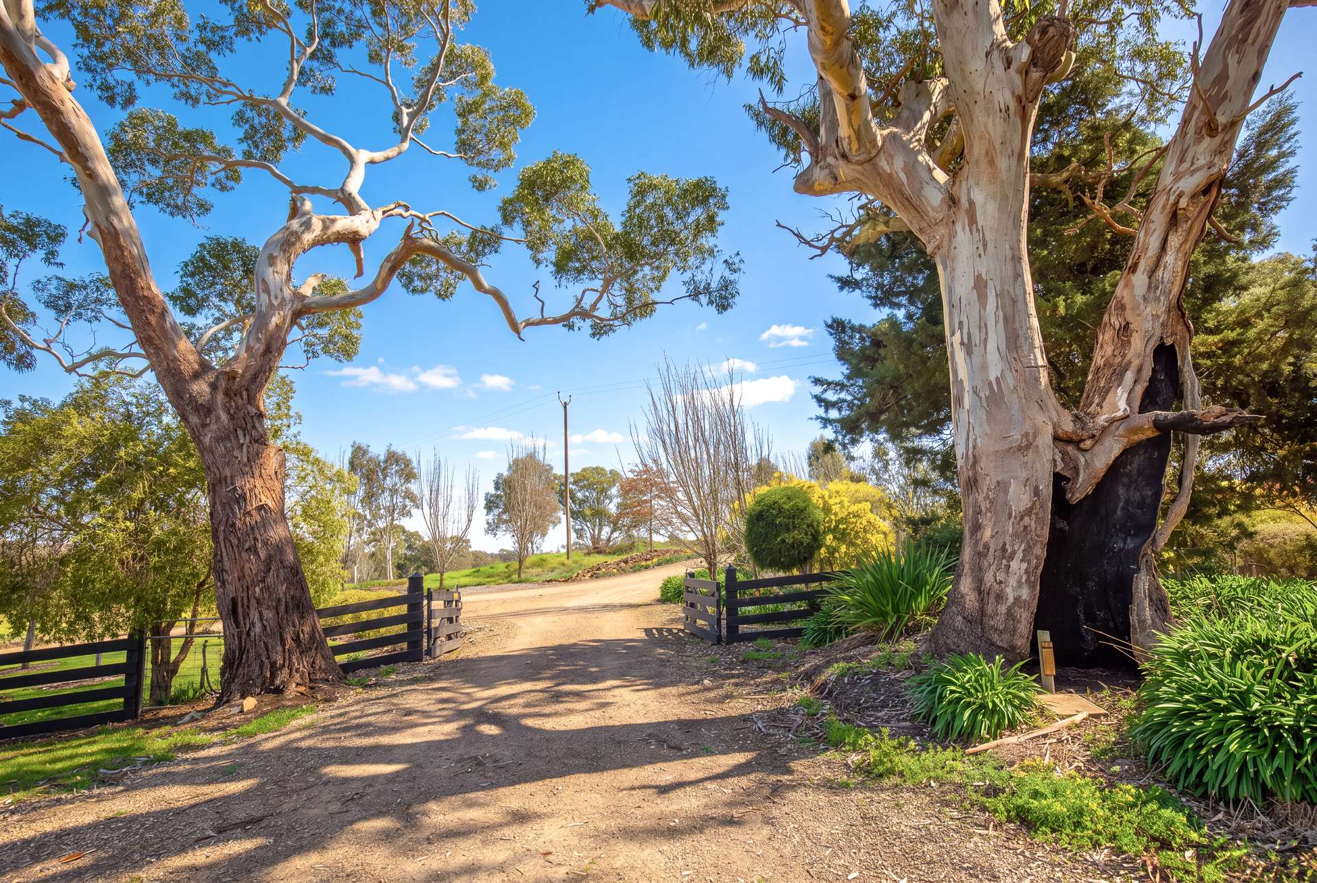 100 Burnley Road, Woodside For Sale by Farmbuy.com - image 26