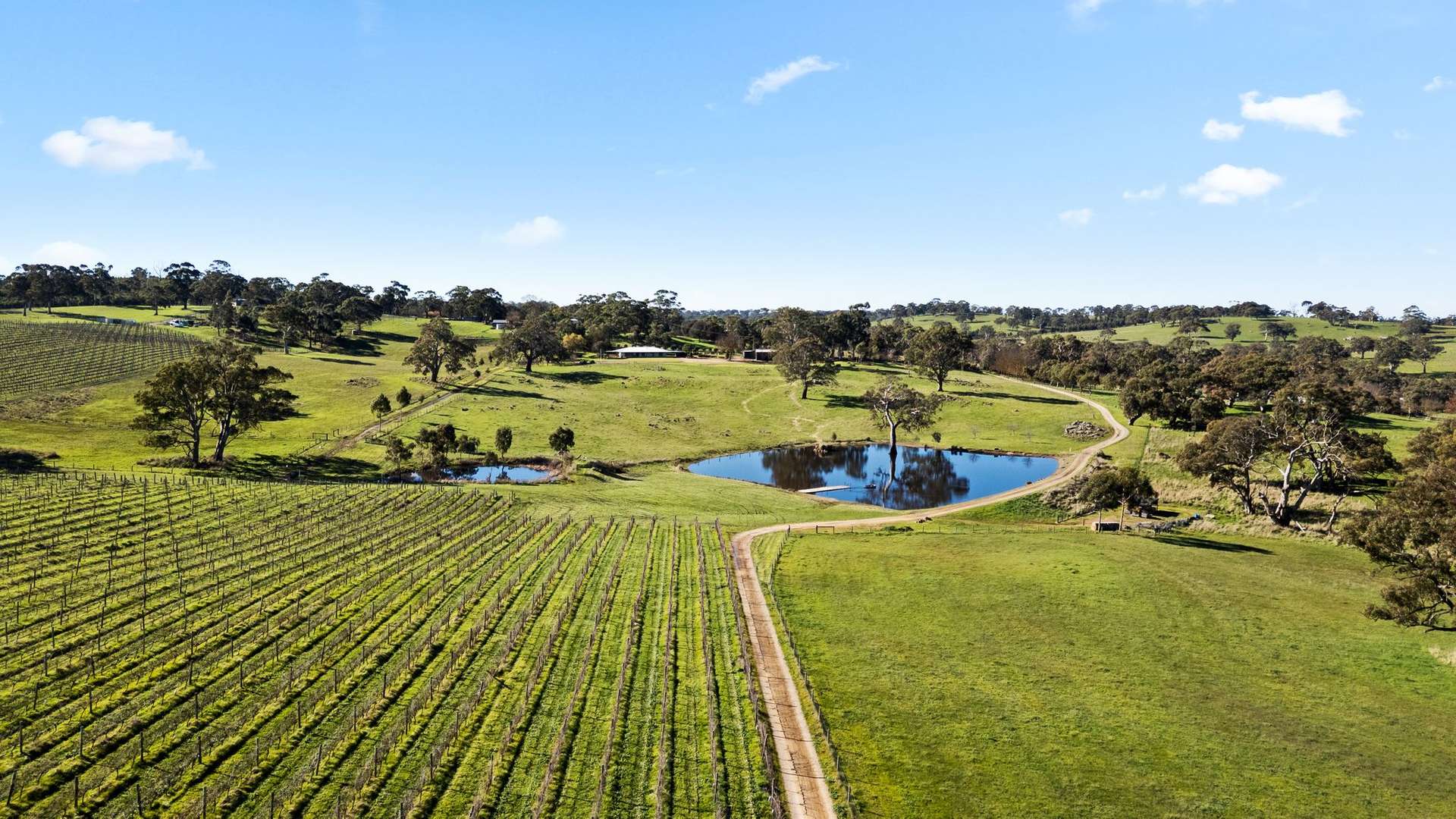 100 Burnley Road, Woodside For Sale by Farmbuy.com - image 24
