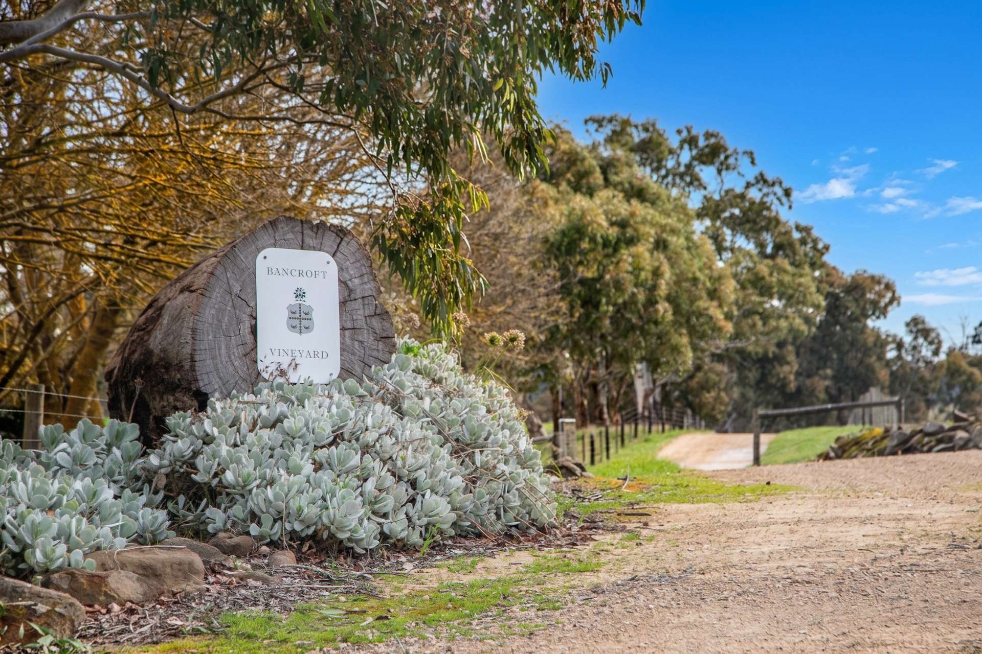 100 Burnley Road, Woodside For Sale by Farmbuy.com - image 25