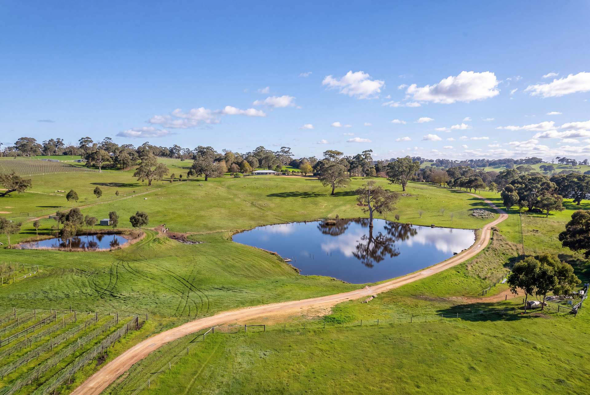 100 Burnley Road, Woodside For Sale by Farmbuy.com - image 2