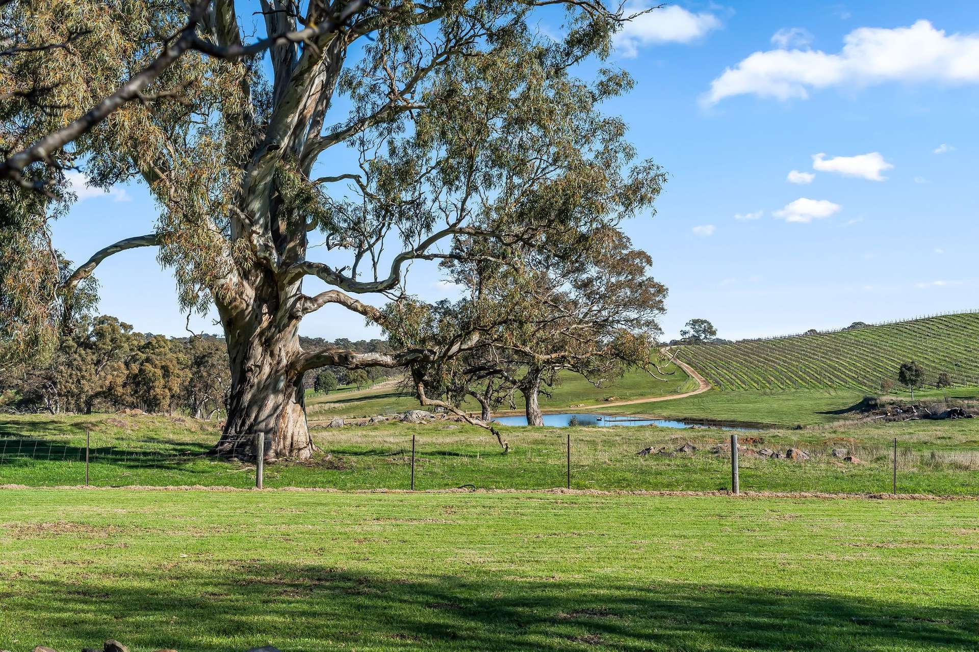 100 Burnley Road, Woodside For Sale by Farmbuy.com - image 17