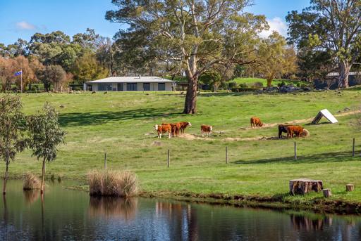 Farm For Sale - SA - Woodside - 5244 - "Bancroft" - 78 Acres of Privacy, Productivity and Breathtaking Hills Beauty 