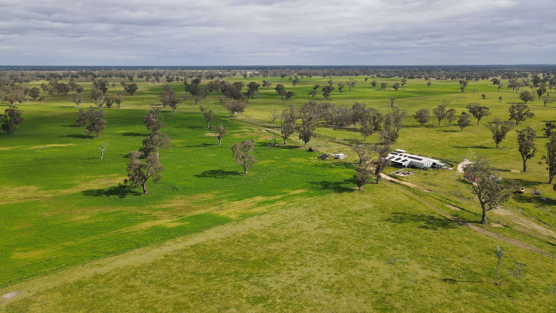 Section 21 Badmans Road, Frances For Sale by Farmbuy.com - image 3