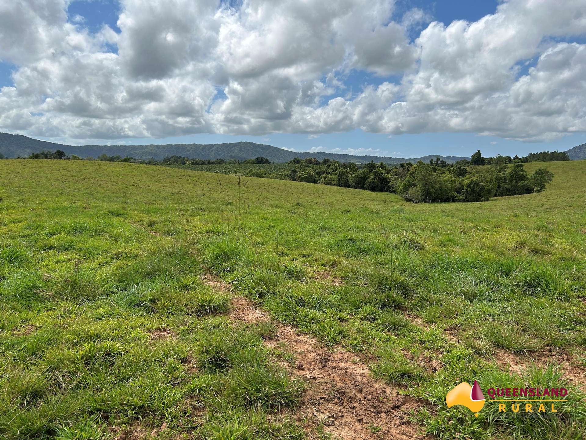 Utchee Creek For Sale by Farmbuy.com - image 6