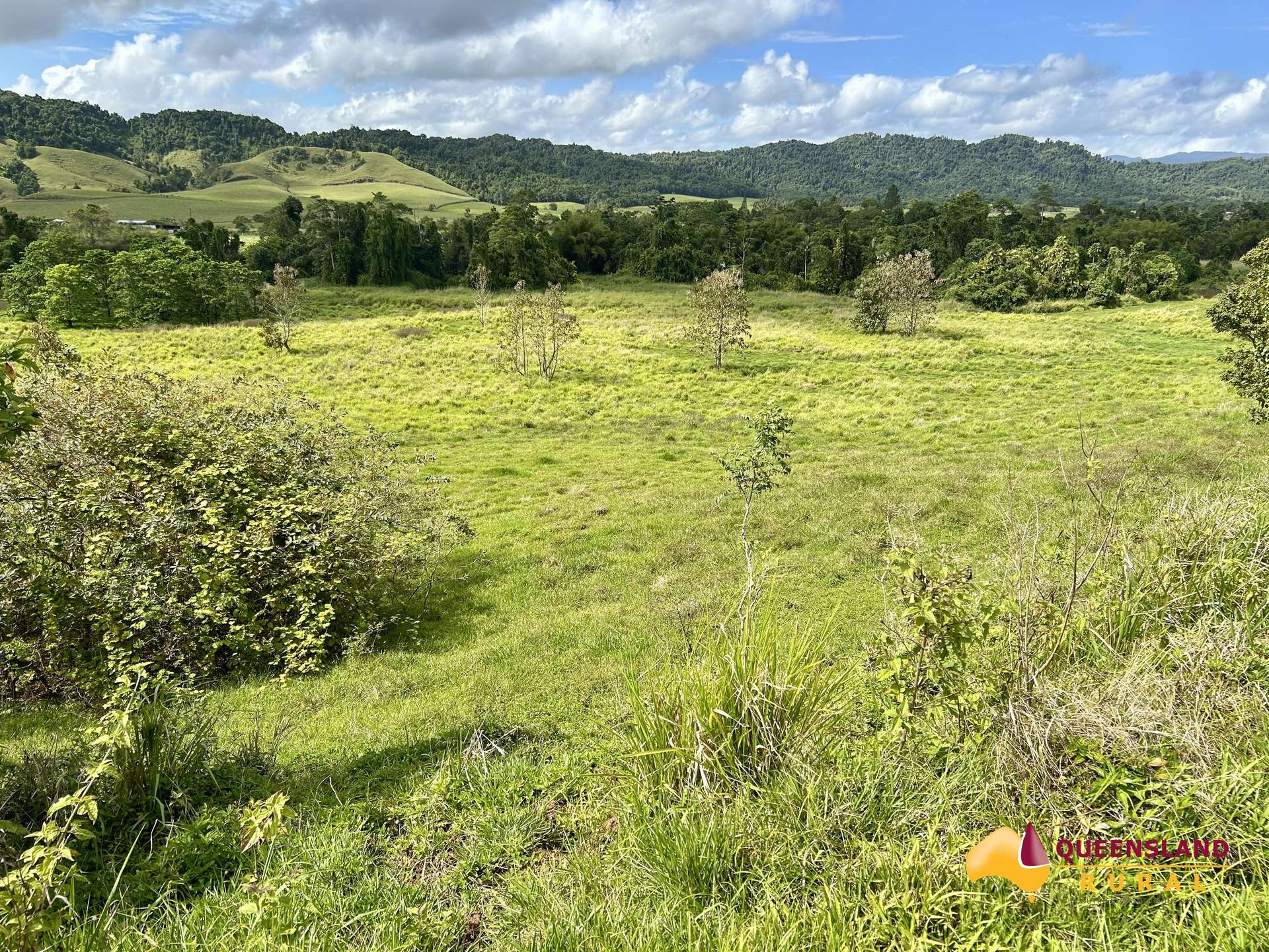 Utchee Creek For Sale by Farmbuy.com - image 11