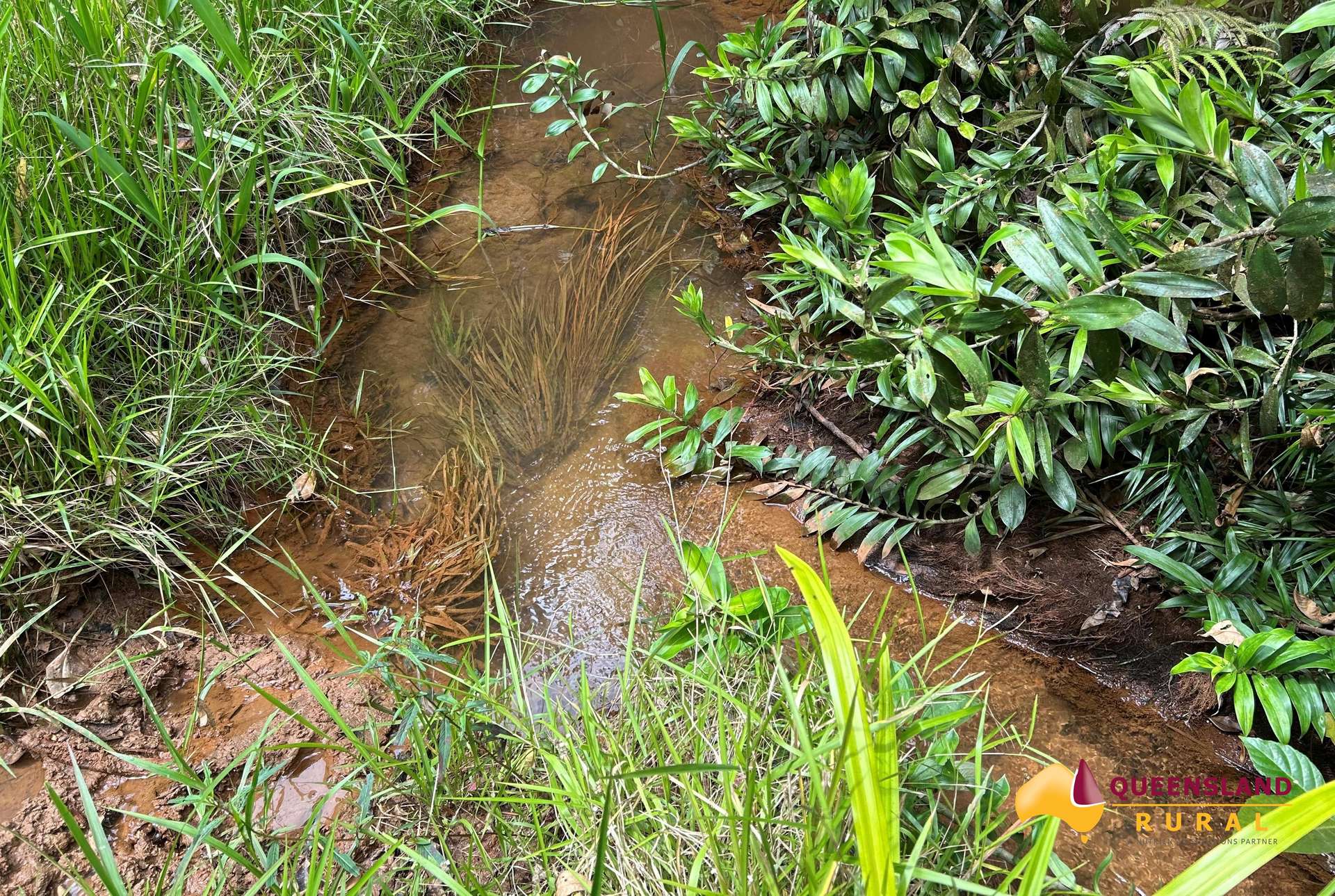 Utchee Creek For Sale by Farmbuy.com - image 7