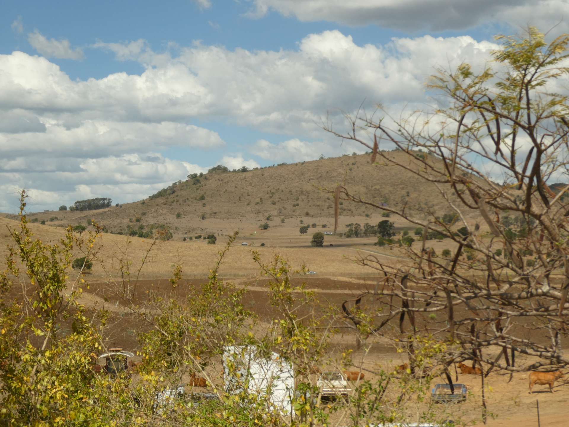 235 Wilson Valley Road, Coalstoun Lakes For Sale by Farmbuy.com - image 10