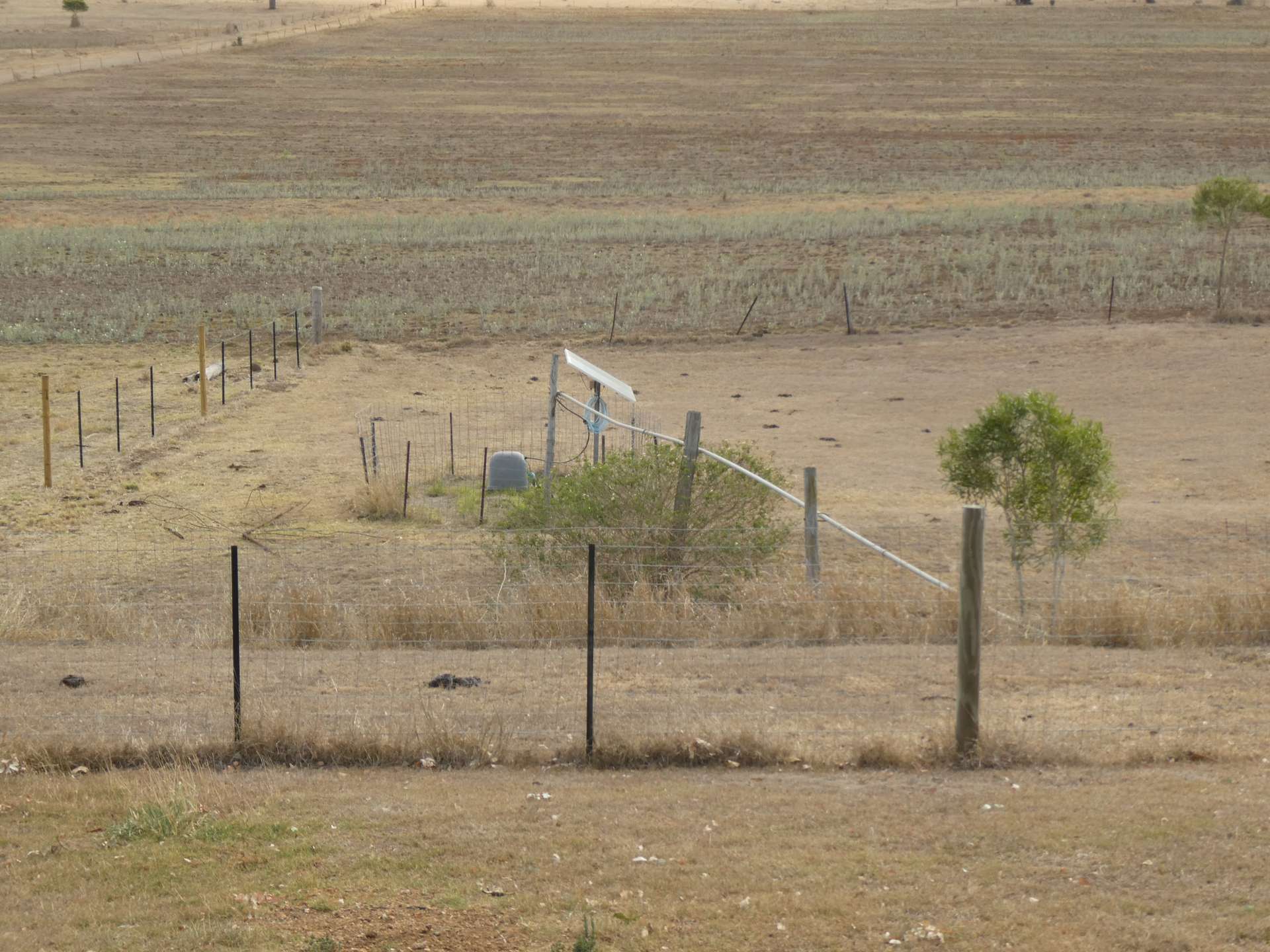235 Wilson Valley Road, Coalstoun Lakes For Sale by Farmbuy.com - image 12