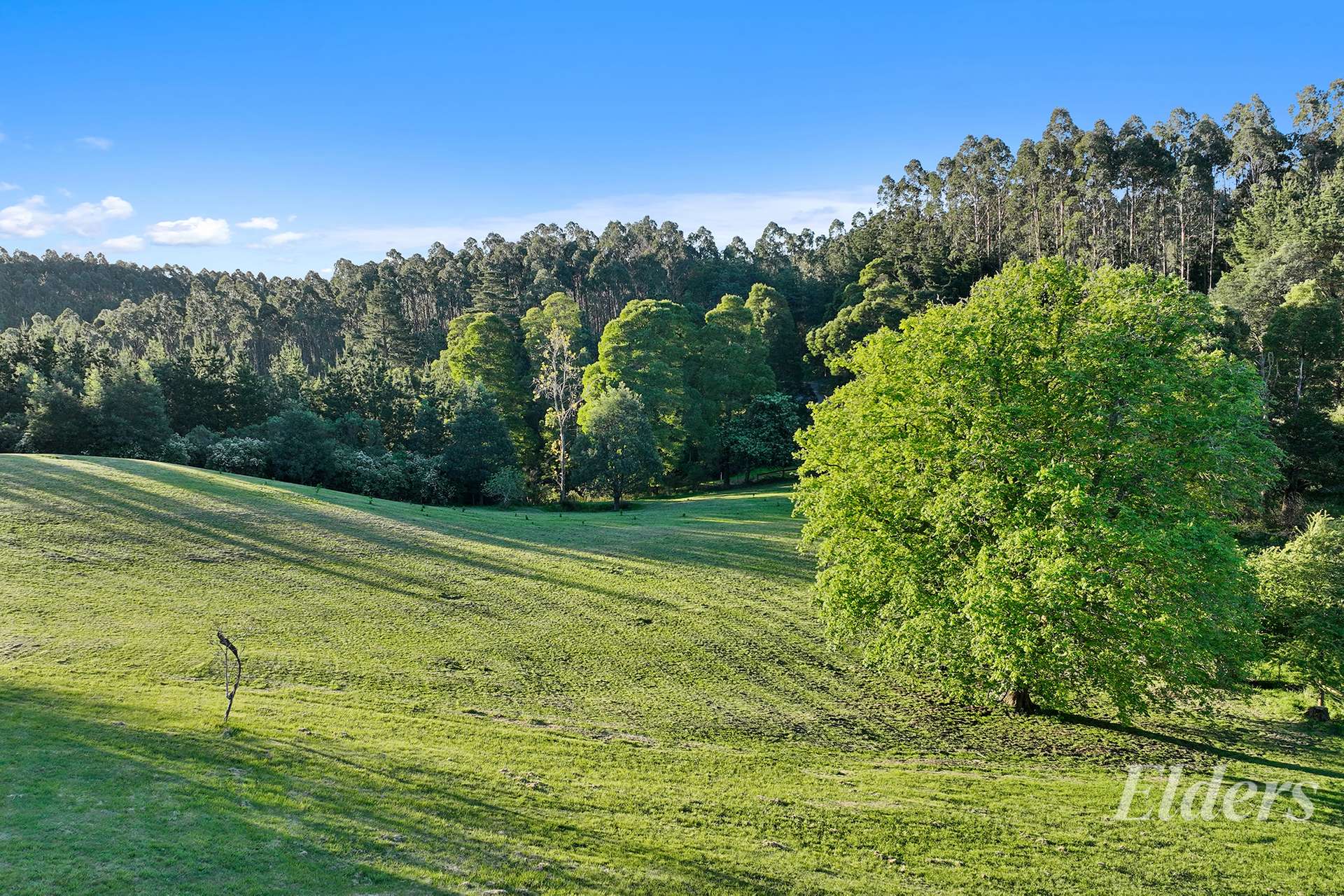 280 Childers Settlement Road, Childers For Sale by Farmbuy.com - image 27