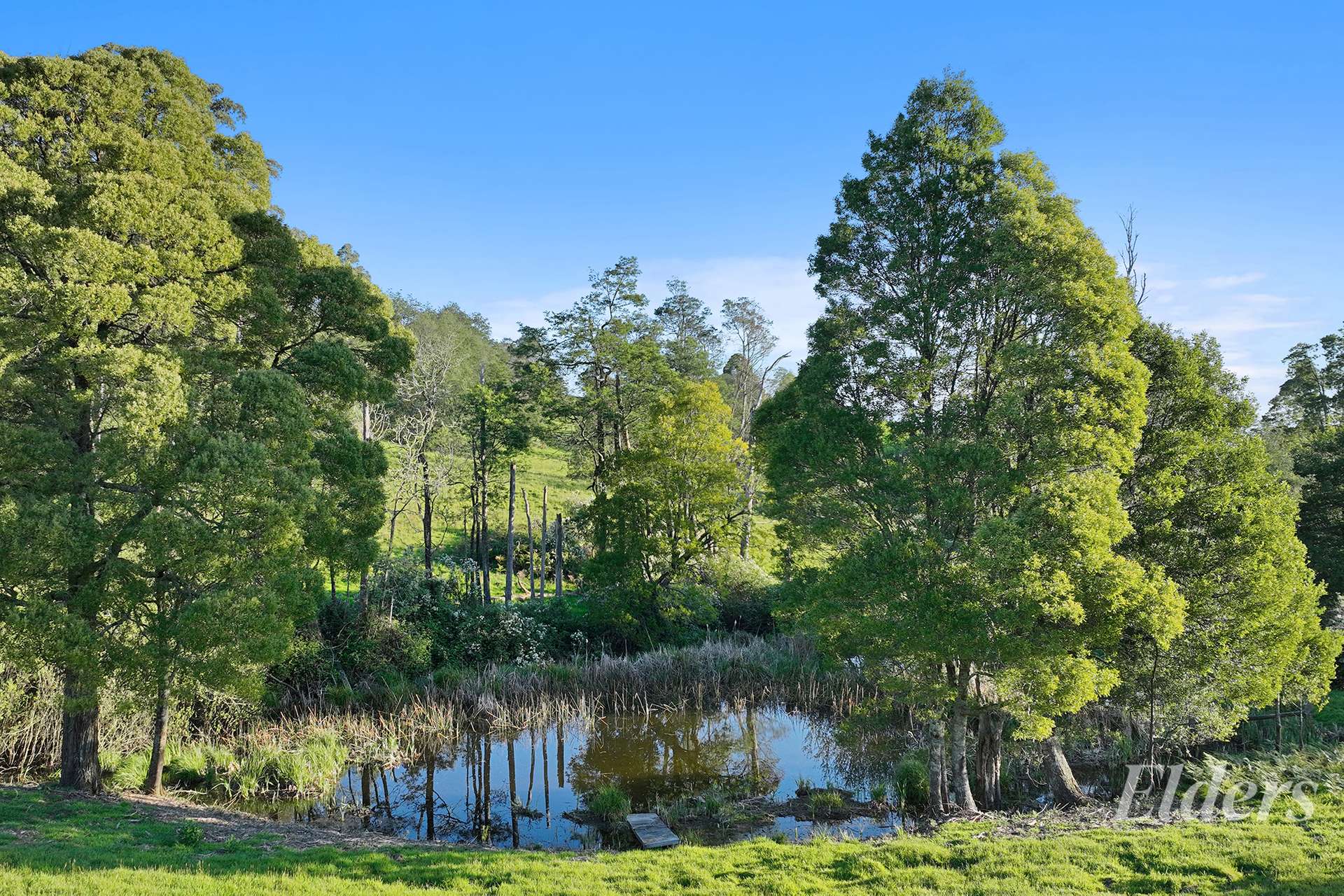 280 Childers Settlement Road, Childers For Sale by Farmbuy.com - image 34