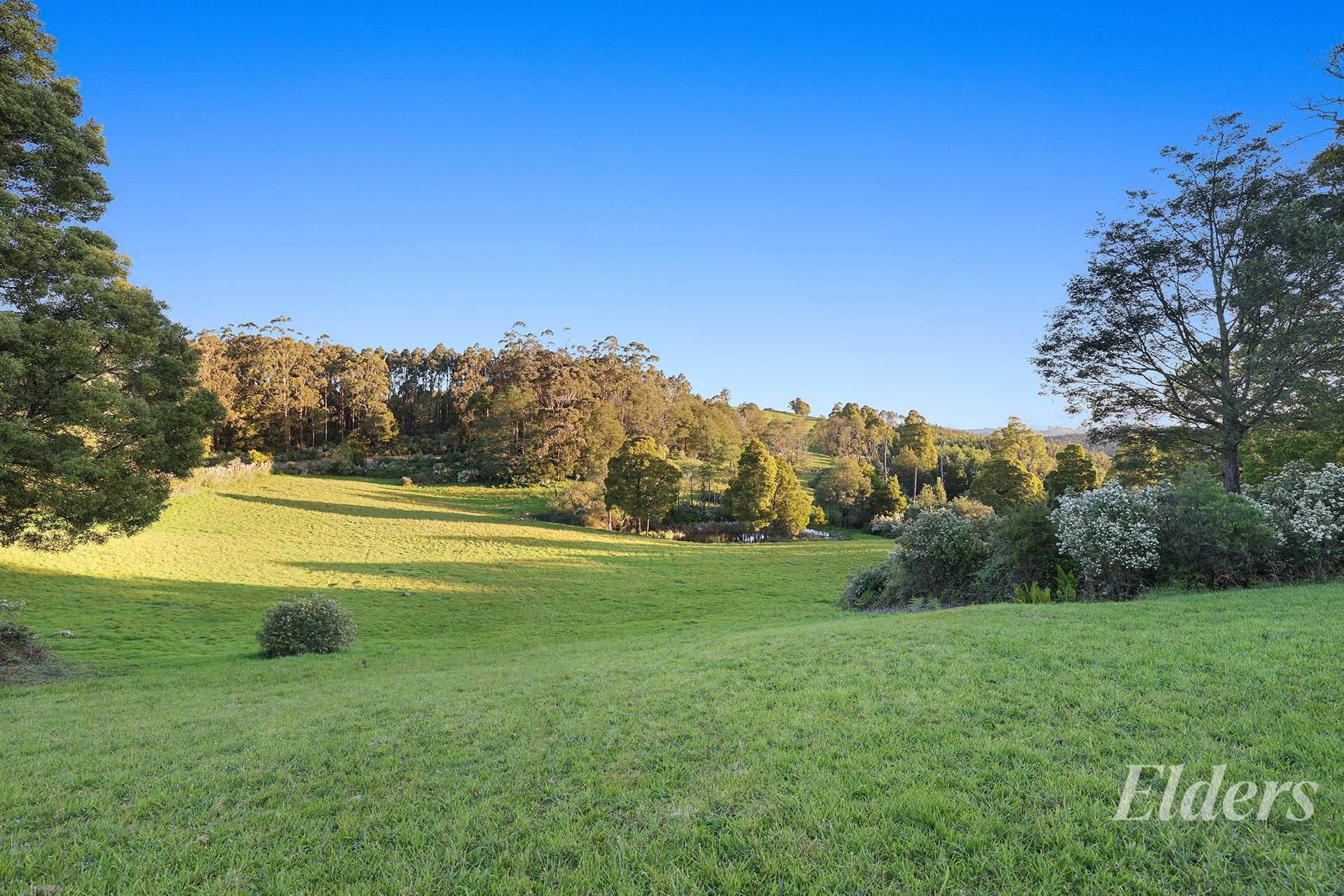280 Childers Settlement Road, Childers For Sale by Farmbuy.com - image 32