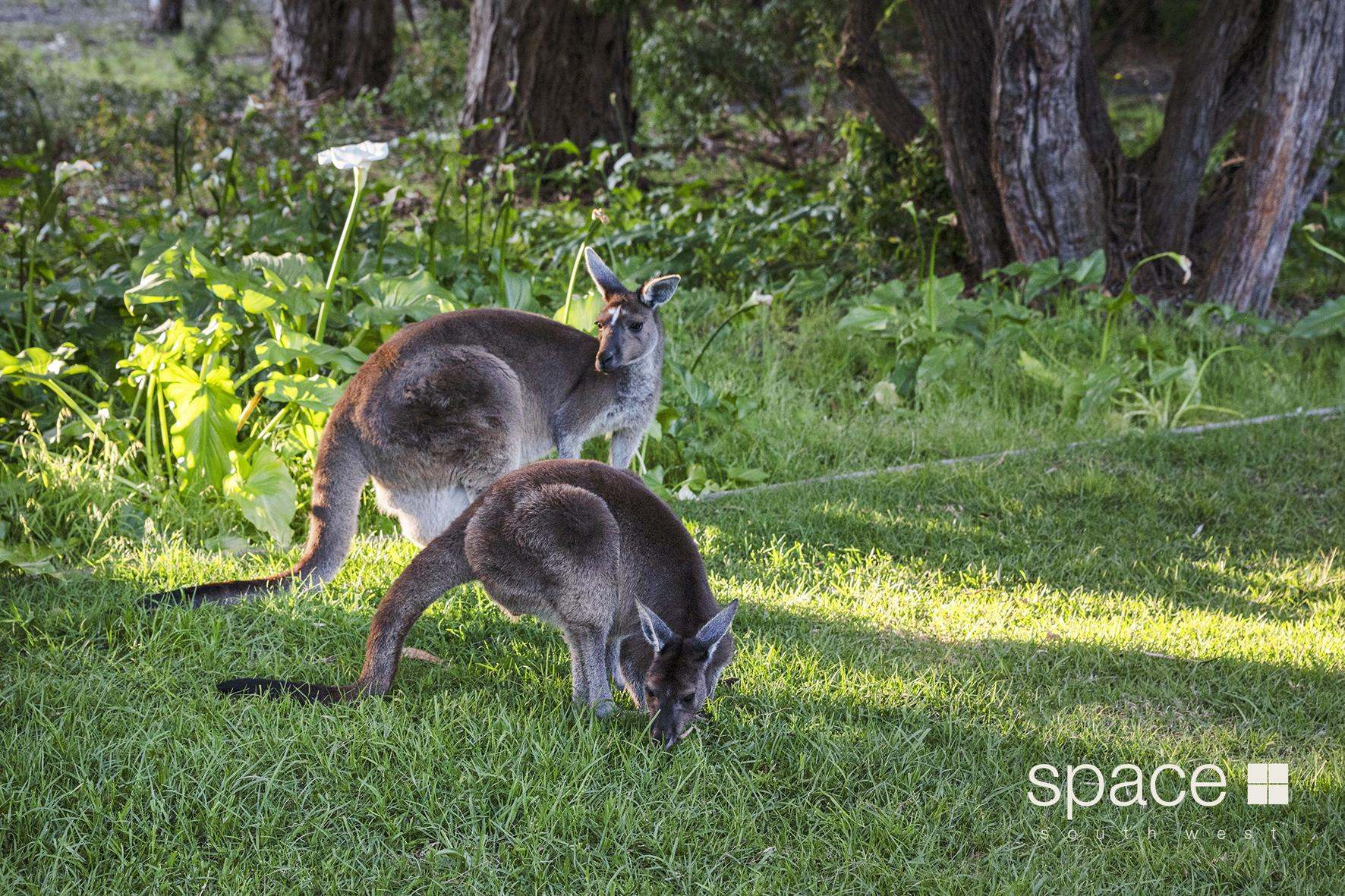 64 Yates Road, Margaret River For Sale by Farmbuy.com - image 12