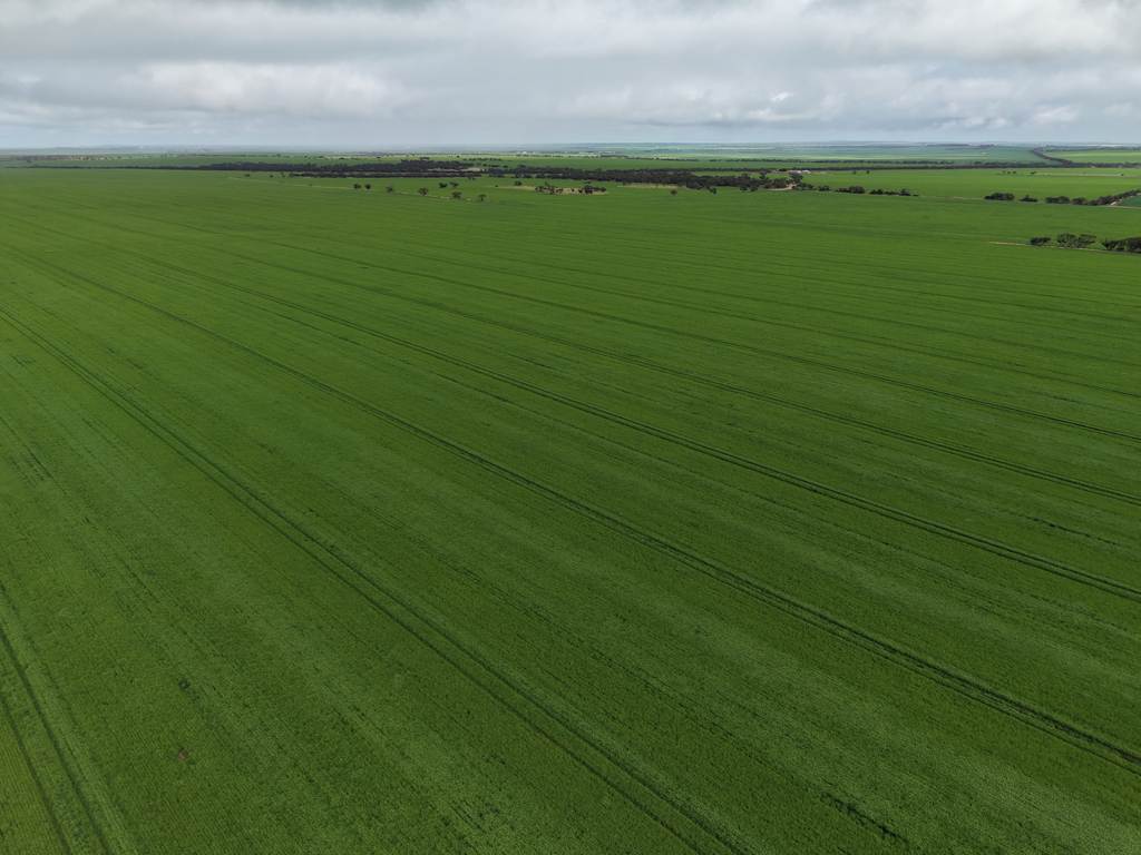 Sec 545 & Sec 554 Wayside Road, Kainton SA 5552