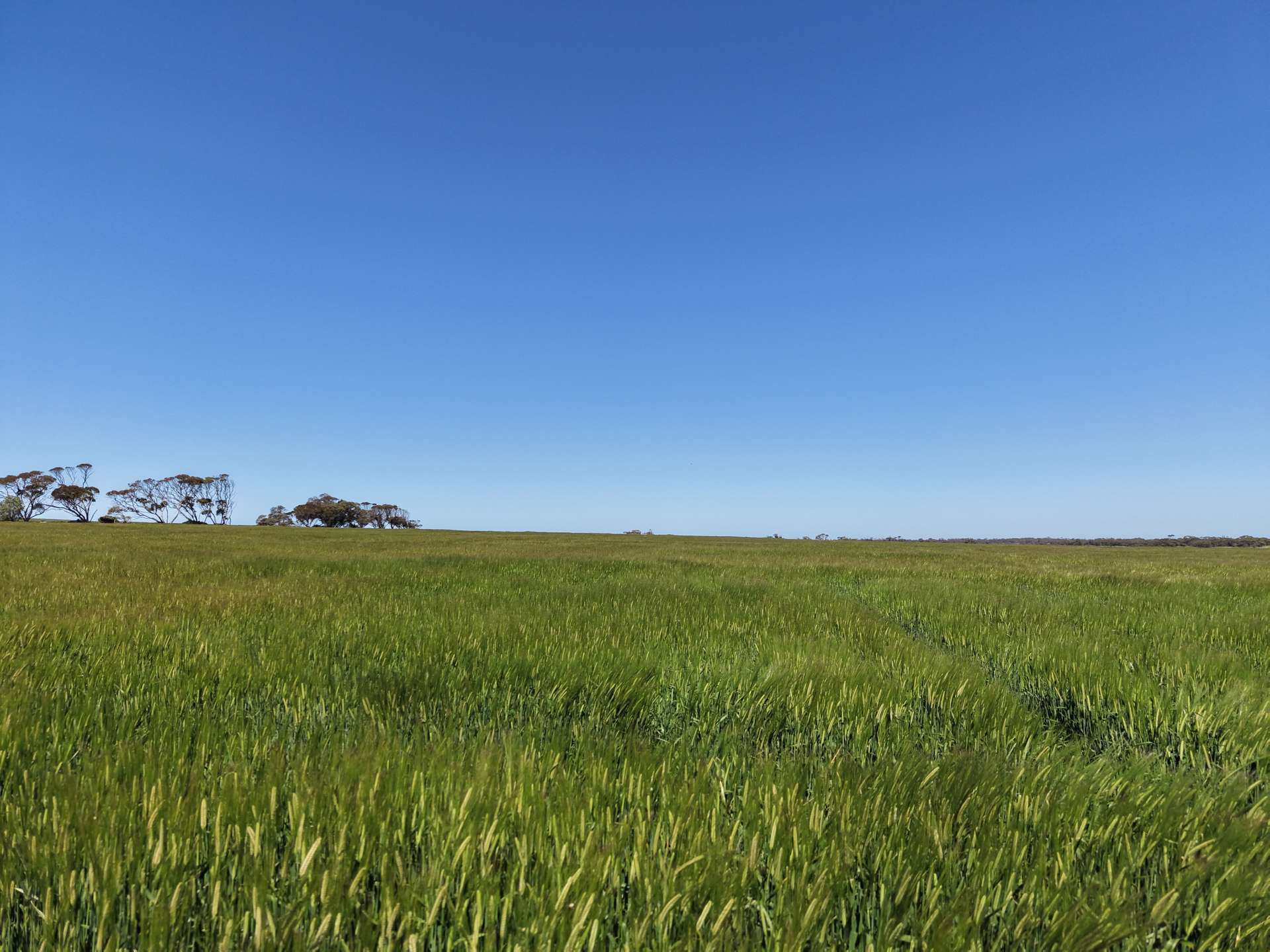 Sec 545 & Sec 554 Wayside Road, Kainton For Sale by Farmbuy.com - image 5