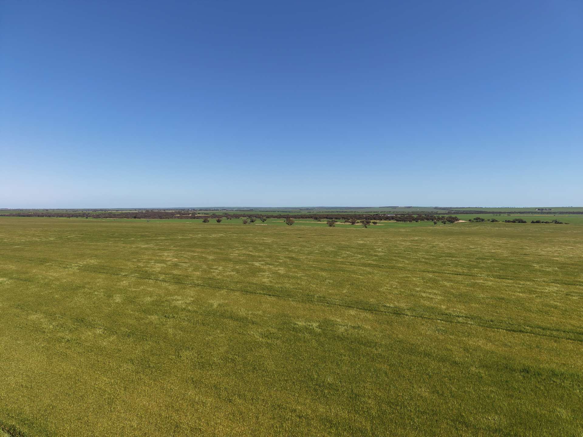Sec 545 & Sec 554 Wayside Road, Kainton For Sale by Farmbuy.com - image 6