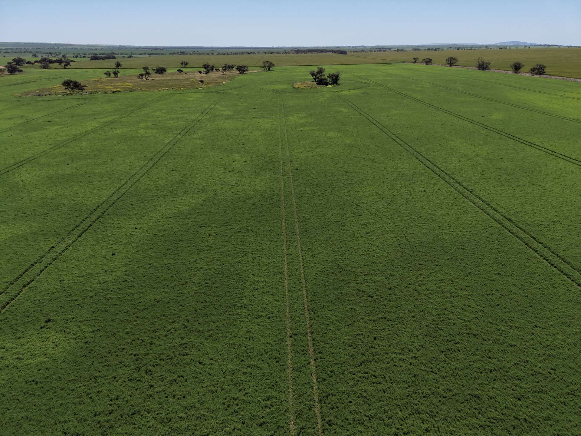 Sec 545 & Sec 554 Wayside Road, Kainton For Sale by Farmbuy.com - image 2
