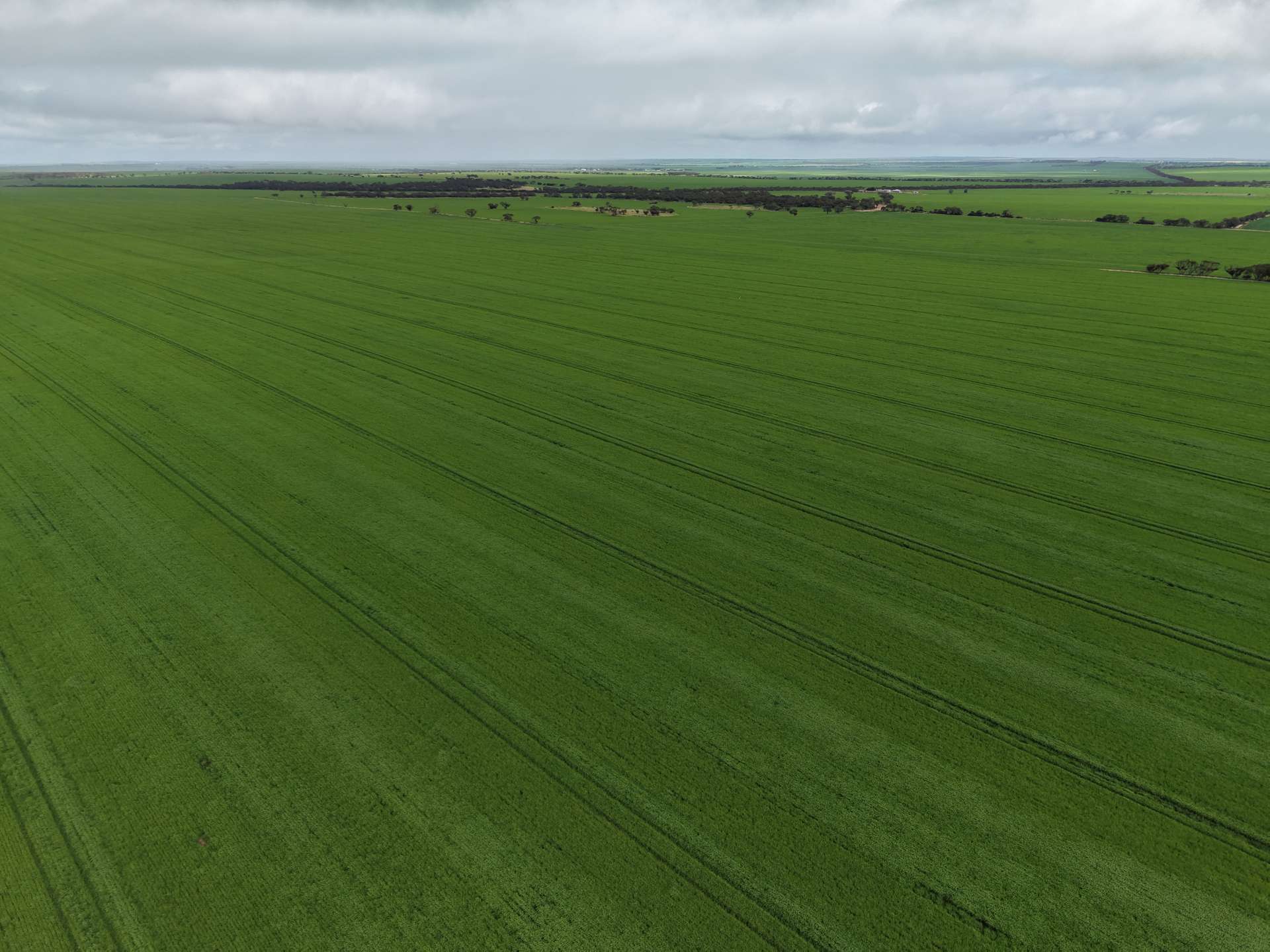 Sec 545 & Sec 554 Wayside Road, Kainton For Sale by Farmbuy.com - image 1