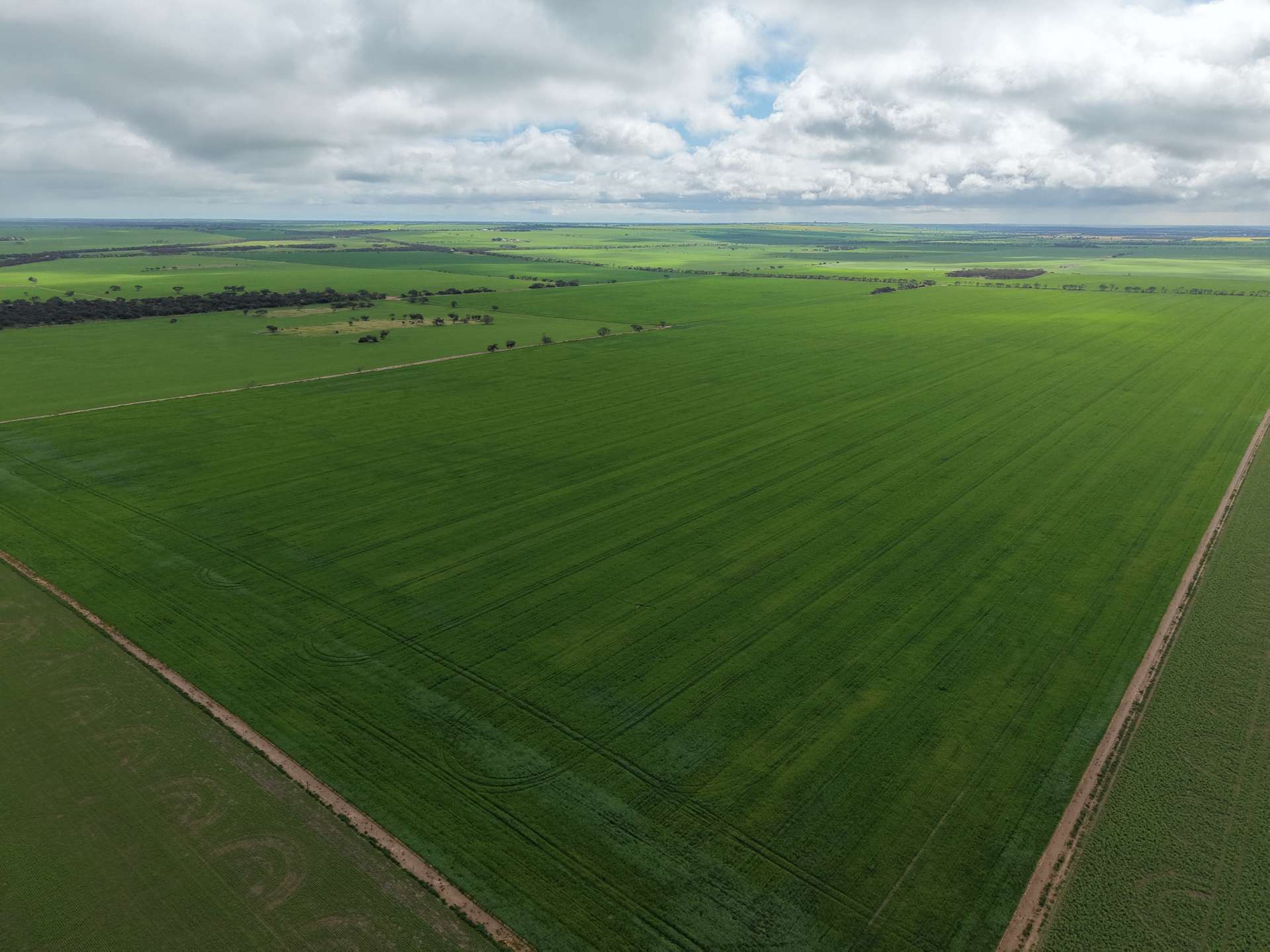 Sec 545 & Sec 554 Wayside Road, Kainton For Sale by Farmbuy.com - image 4
