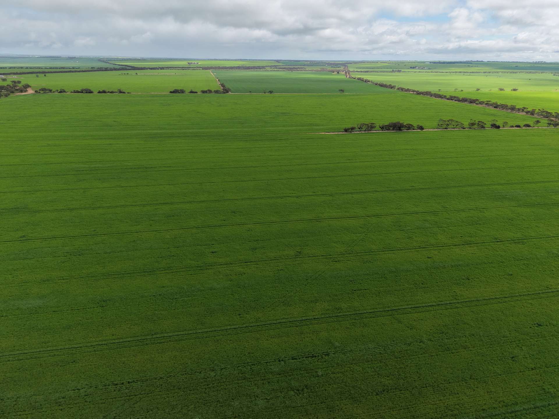 Sec 545 & Sec 554 Wayside Road, Kainton For Sale by Farmbuy.com - image 3