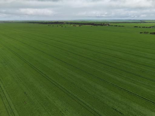 Sec 545 & Sec 554 Wayside Road, Kainton SA 5552