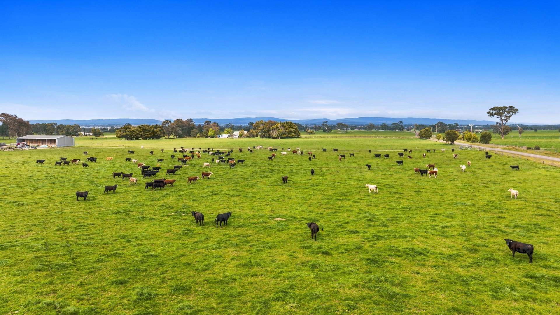 126 Waites Road, Glengarry West For Sale by Farmbuy.com - image 3