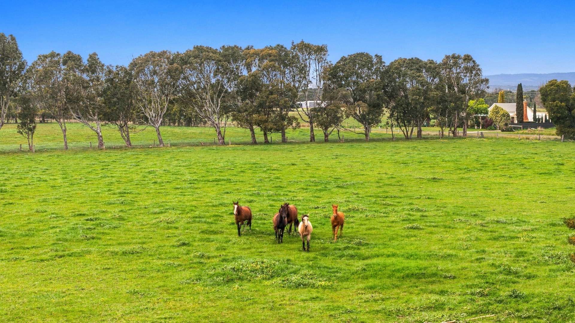 126 Waites Road, Glengarry West For Sale by Farmbuy.com - image 4