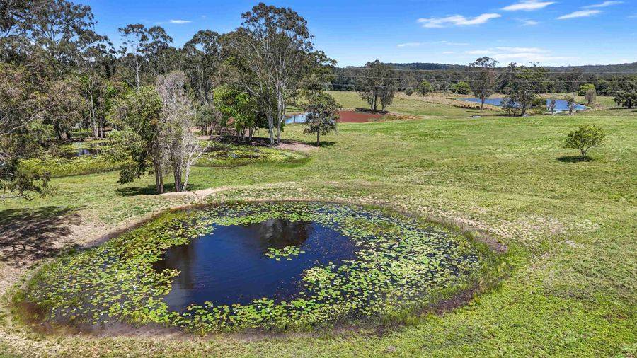 1344 Greenridge Pinbarren Road, Pinbarren For Sale by Farmbuy.com - image 6