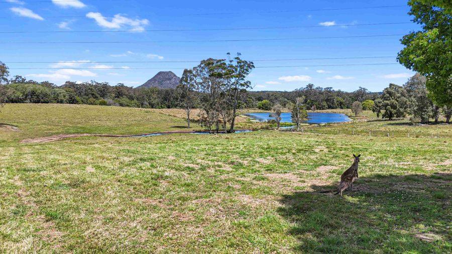 1344 Greenridge Pinbarren Road, Pinbarren For Sale by Farmbuy.com - image 11
