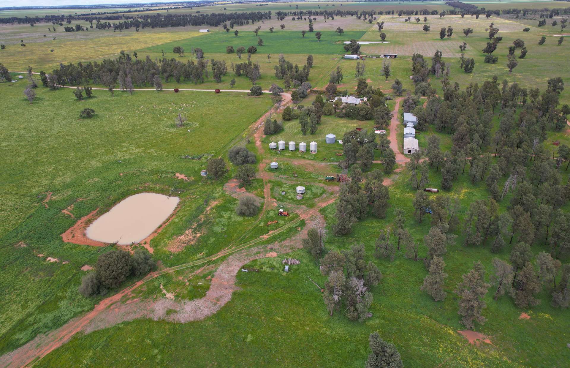 3937 West Wyalong Condobolin Road, Girral For Sale by Farmbuy.com - image 12