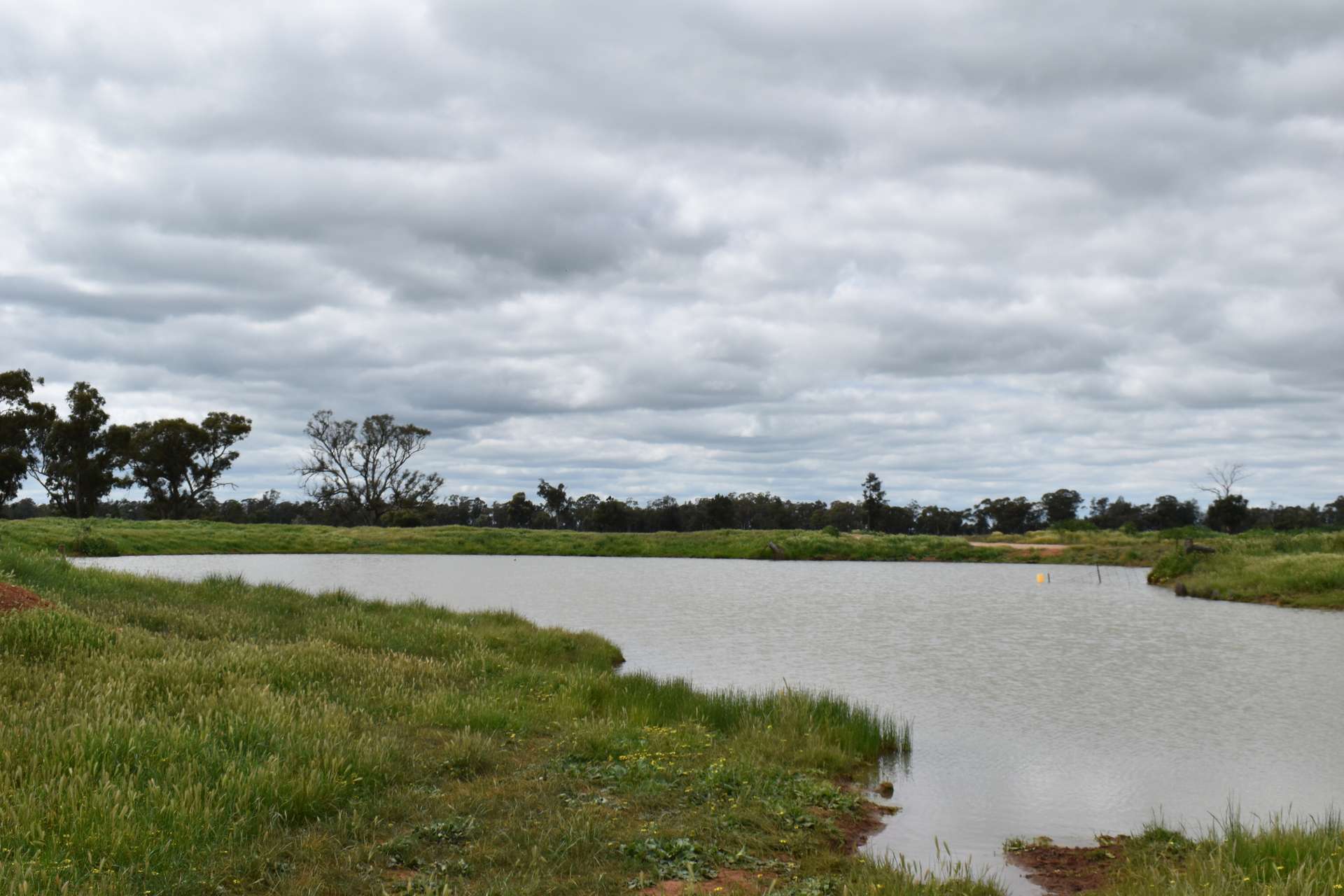 3937 West Wyalong Condobolin Road, Girral For Sale by Farmbuy.com - image 11