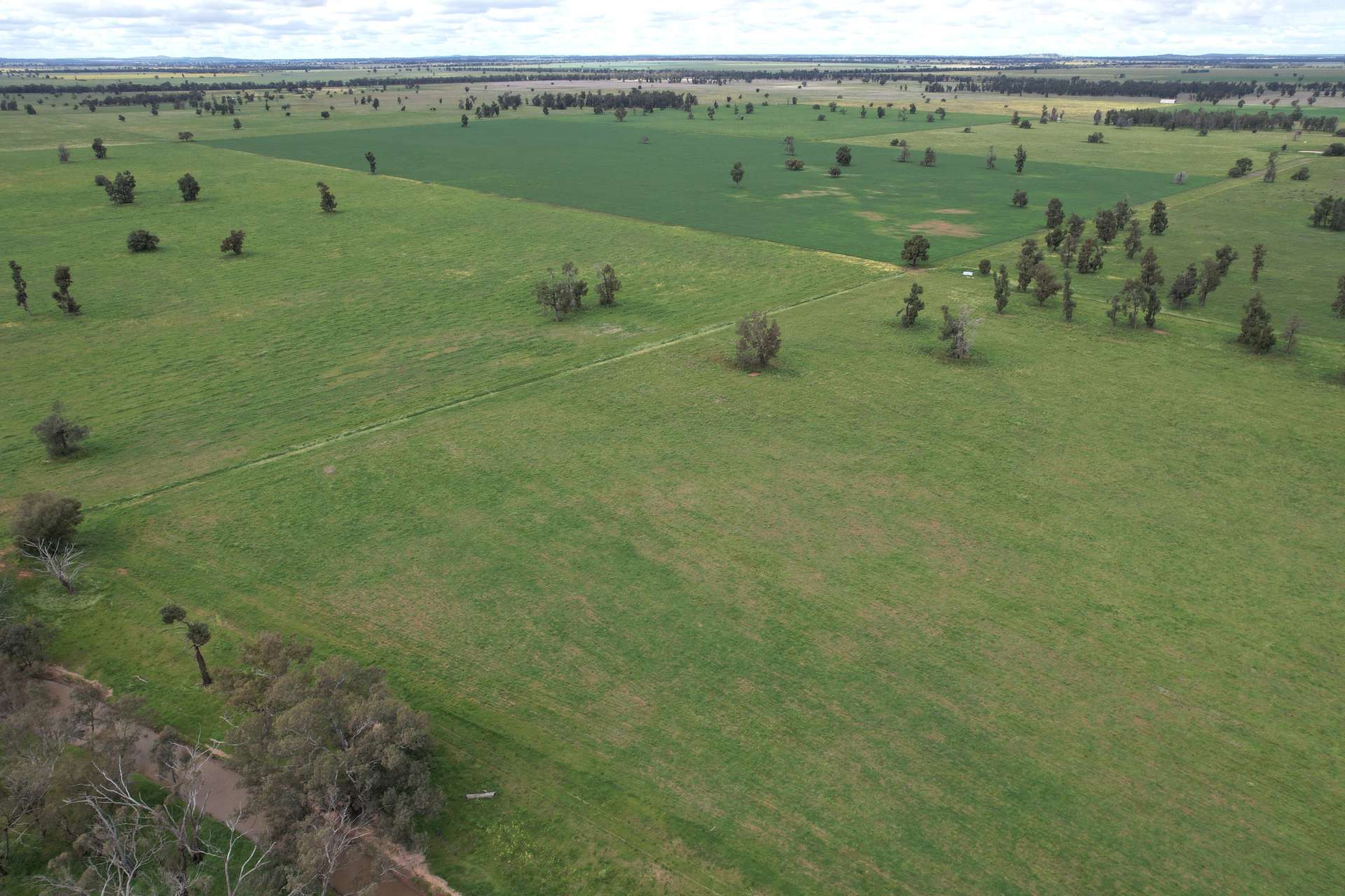 3937 West Wyalong Condobolin Road, Girral For Sale by Farmbuy.com - image 18