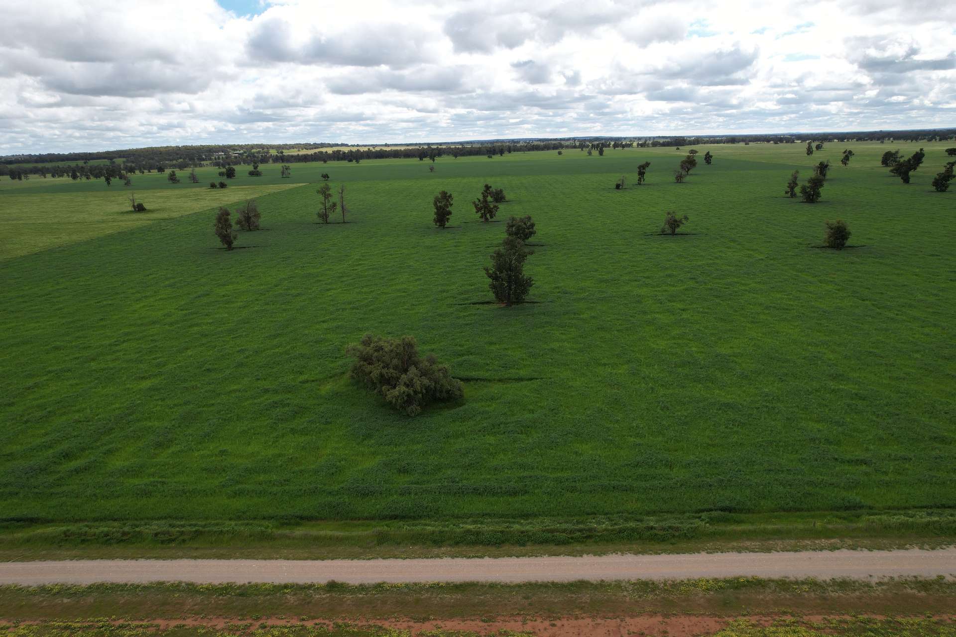3937 West Wyalong Condobolin Road, Girral For Sale by Farmbuy.com - image 5
