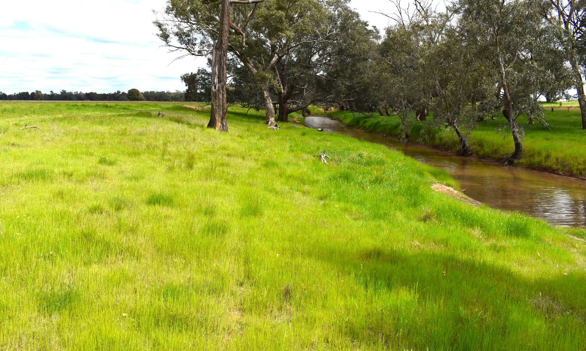 3937 West Wyalong Condobolin Road, Girral For Sale by Farmbuy.com - image 17
