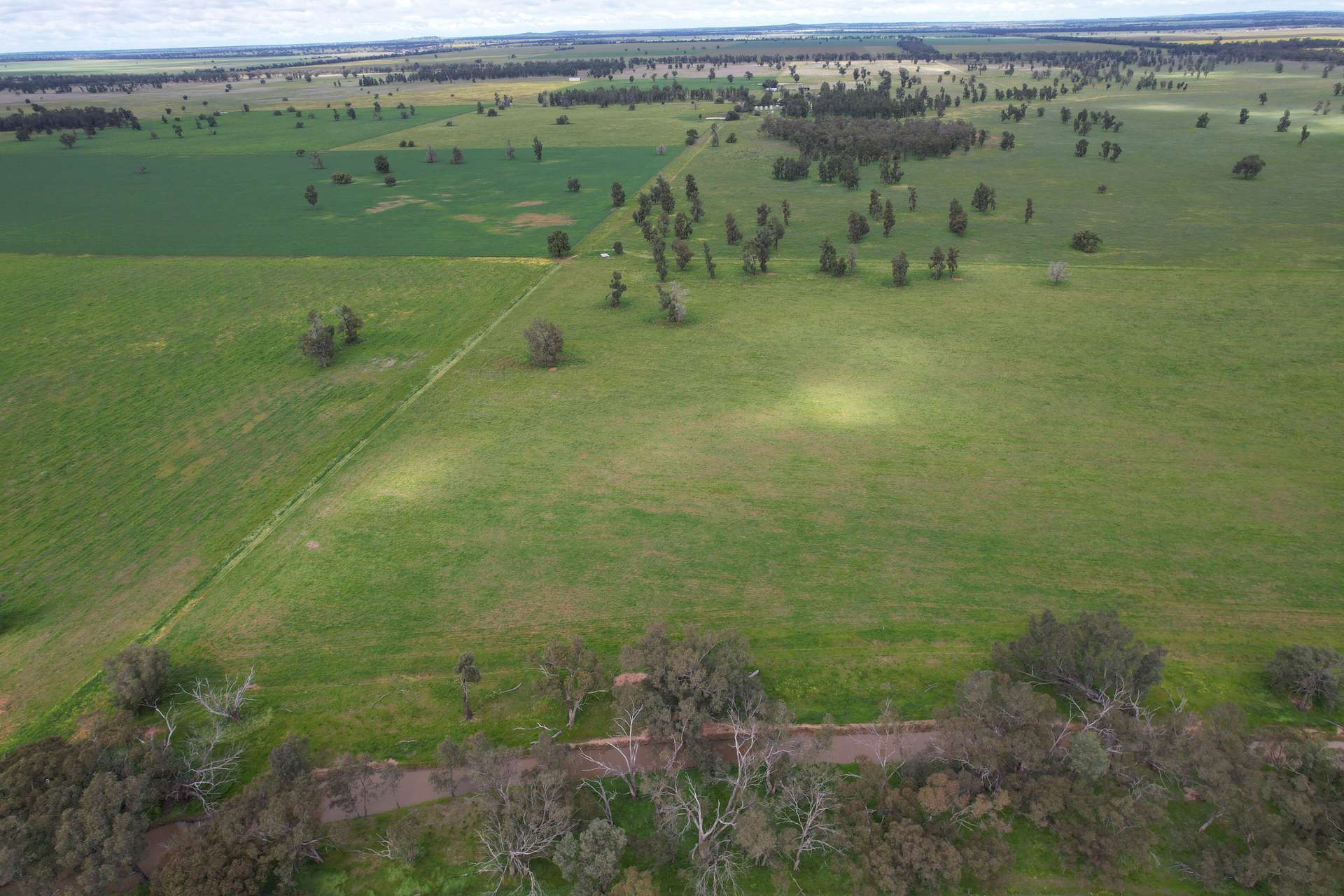 3937 West Wyalong Condobolin Road, Girral For Sale by Farmbuy.com - image 4