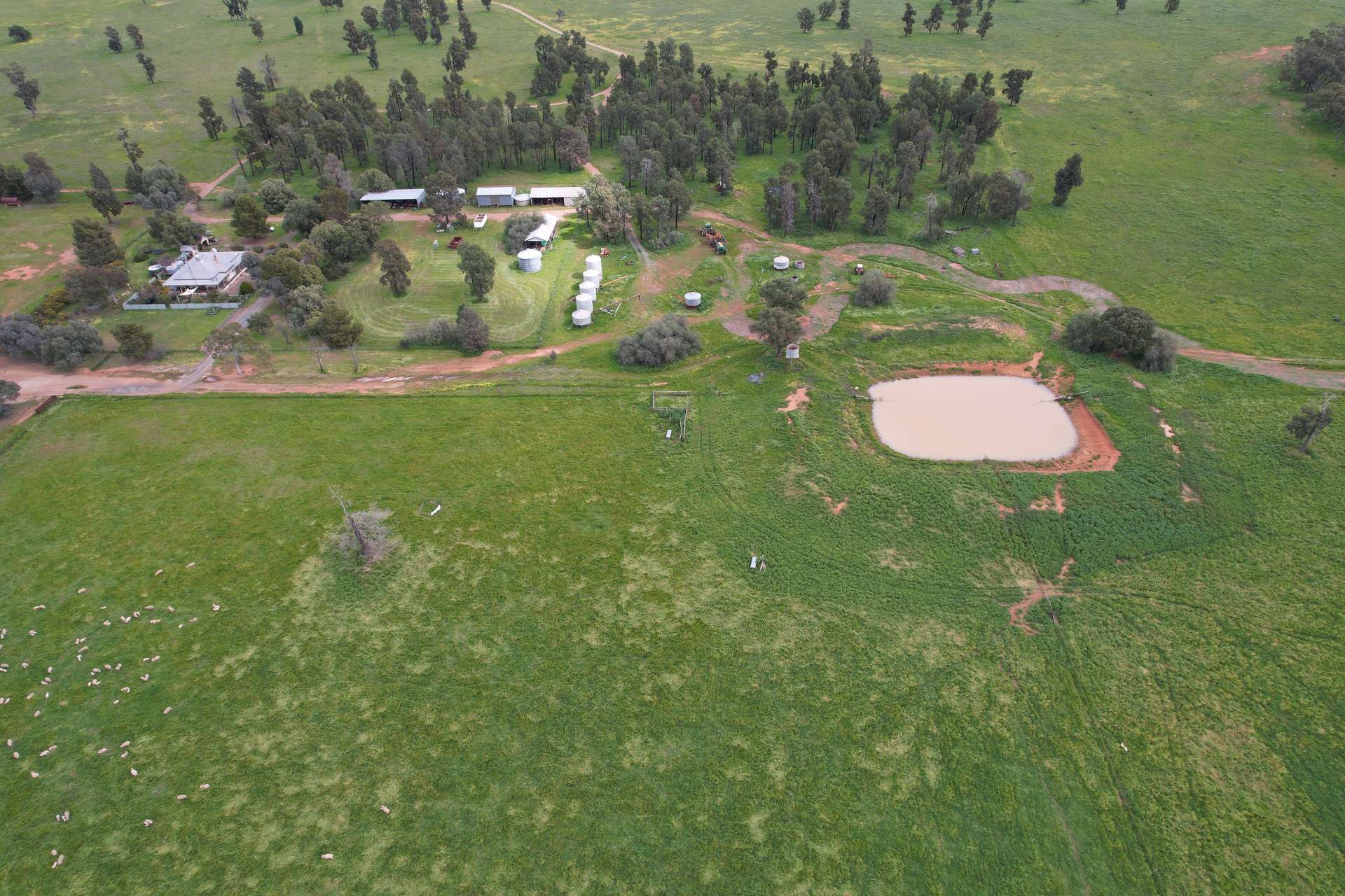 3937 West Wyalong Condobolin Road, Girral For Sale by Farmbuy.com - image 19