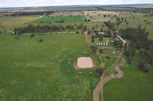 Farm For Sale - NSW - Girral - 2669 - "Heyfield" offers a great opportunity to purchase a quality parcel of land, held in the current family for over 75 years 