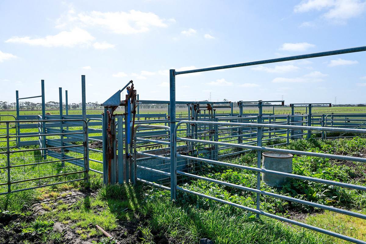 'Leigrand' Willatook-Warrong Road, Willatook For Sale by Farmbuy.com - image 10