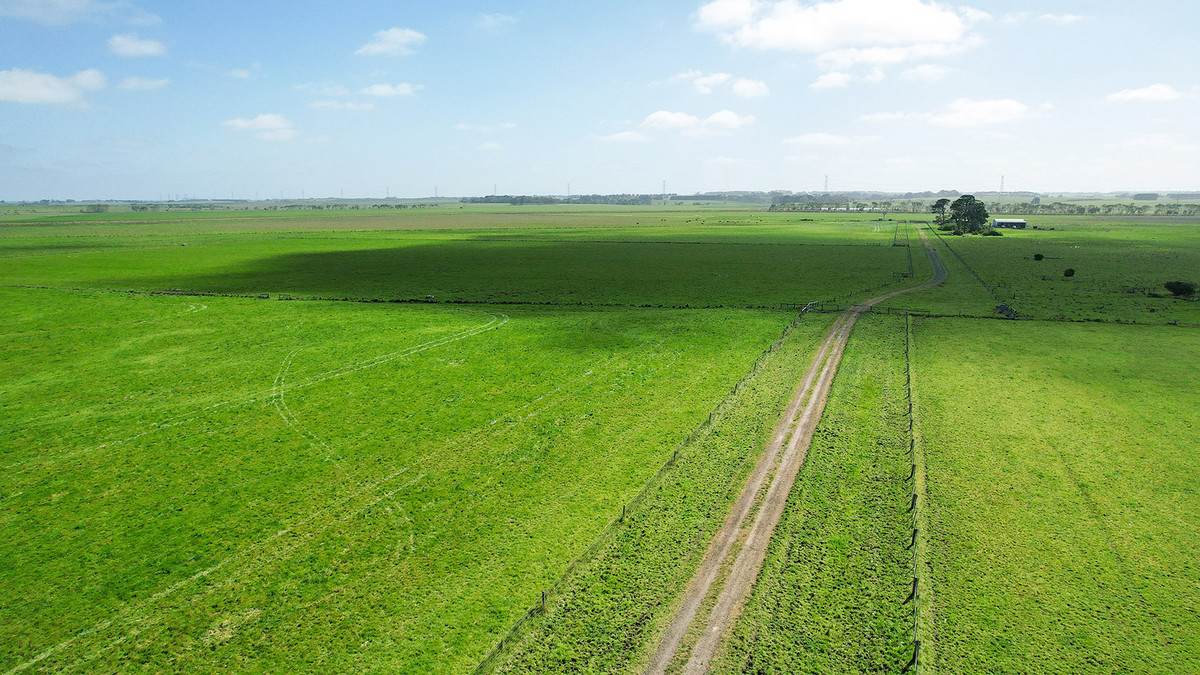 'Leigrand' Willatook-Warrong Road, Willatook For Sale by Farmbuy.com - image 7