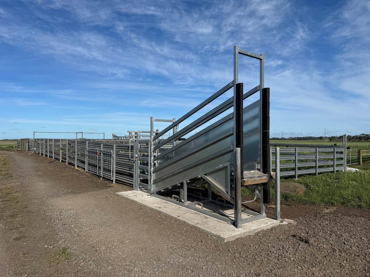 'Leigrand' Willatook-Warrong Road, Willatook For Sale by Farmbuy.com - image 9