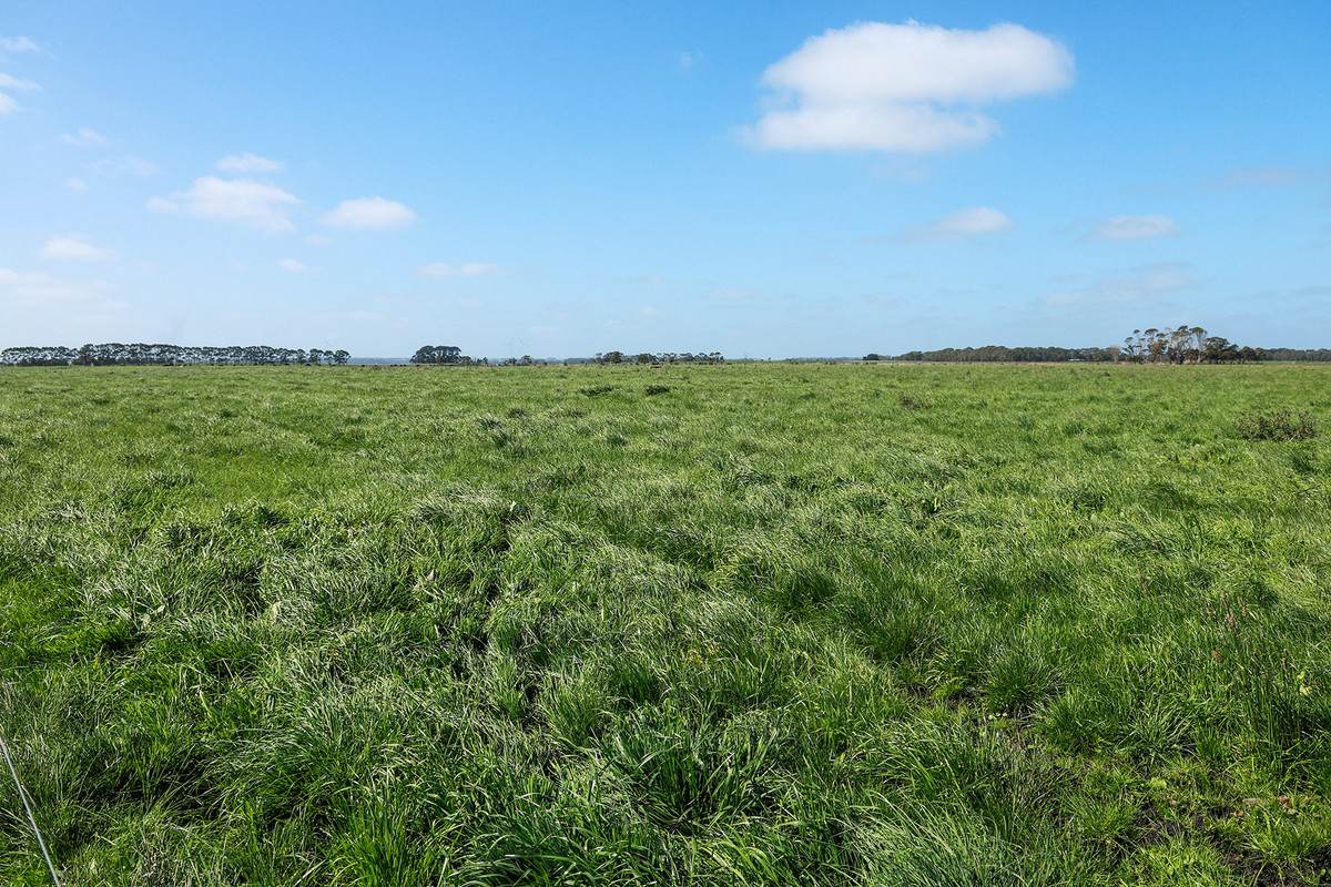 'Leigrand' Willatook-Warrong Road, Willatook For Sale by Farmbuy.com - image 5