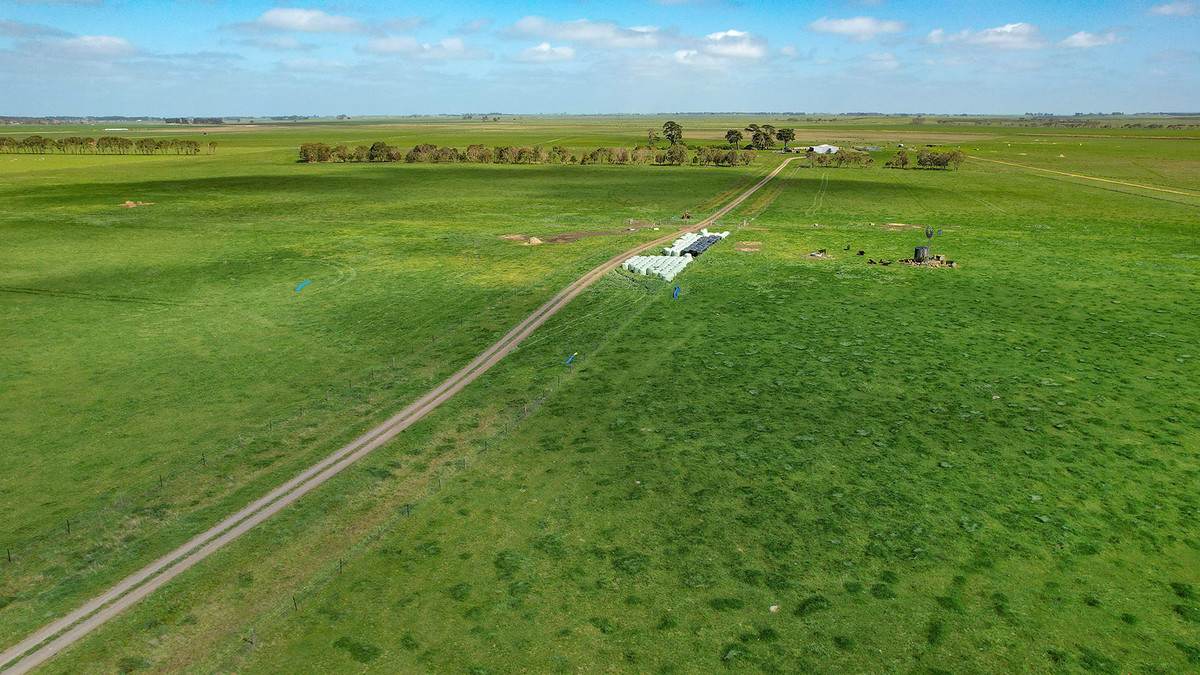 'Leigrand' Willatook-Warrong Road, Willatook For Sale by Farmbuy.com - image 14